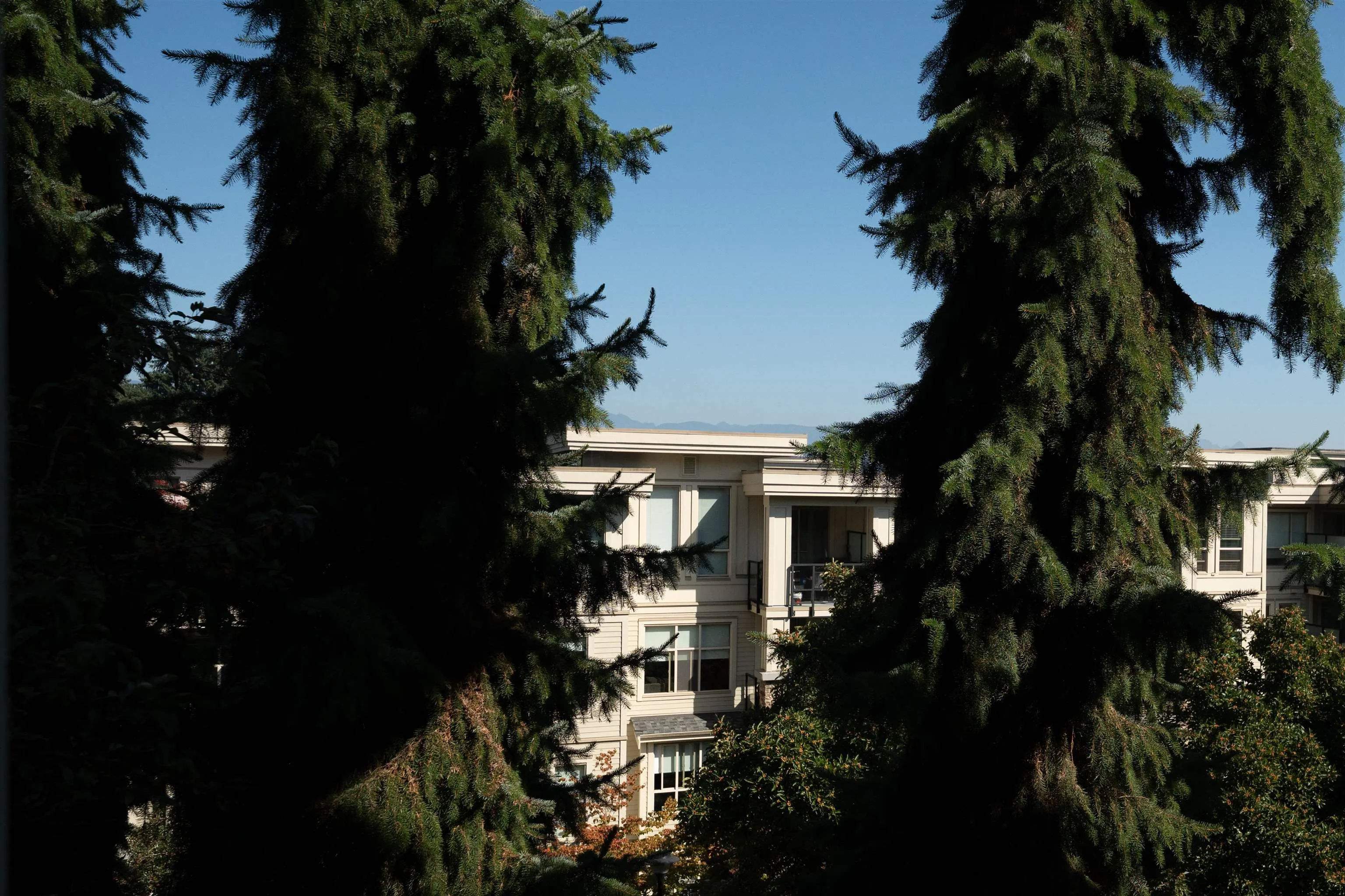 255 Ross Drive #203