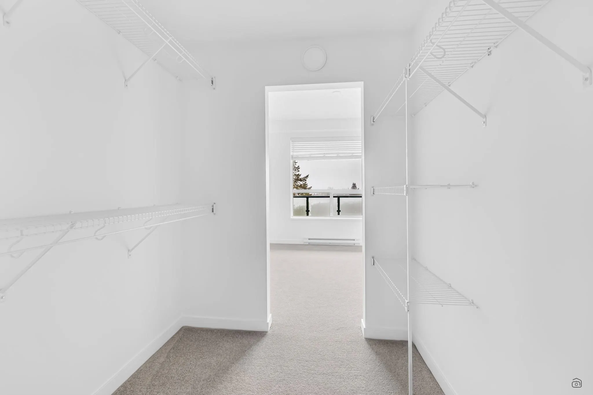 15738 85 Avenue #4F