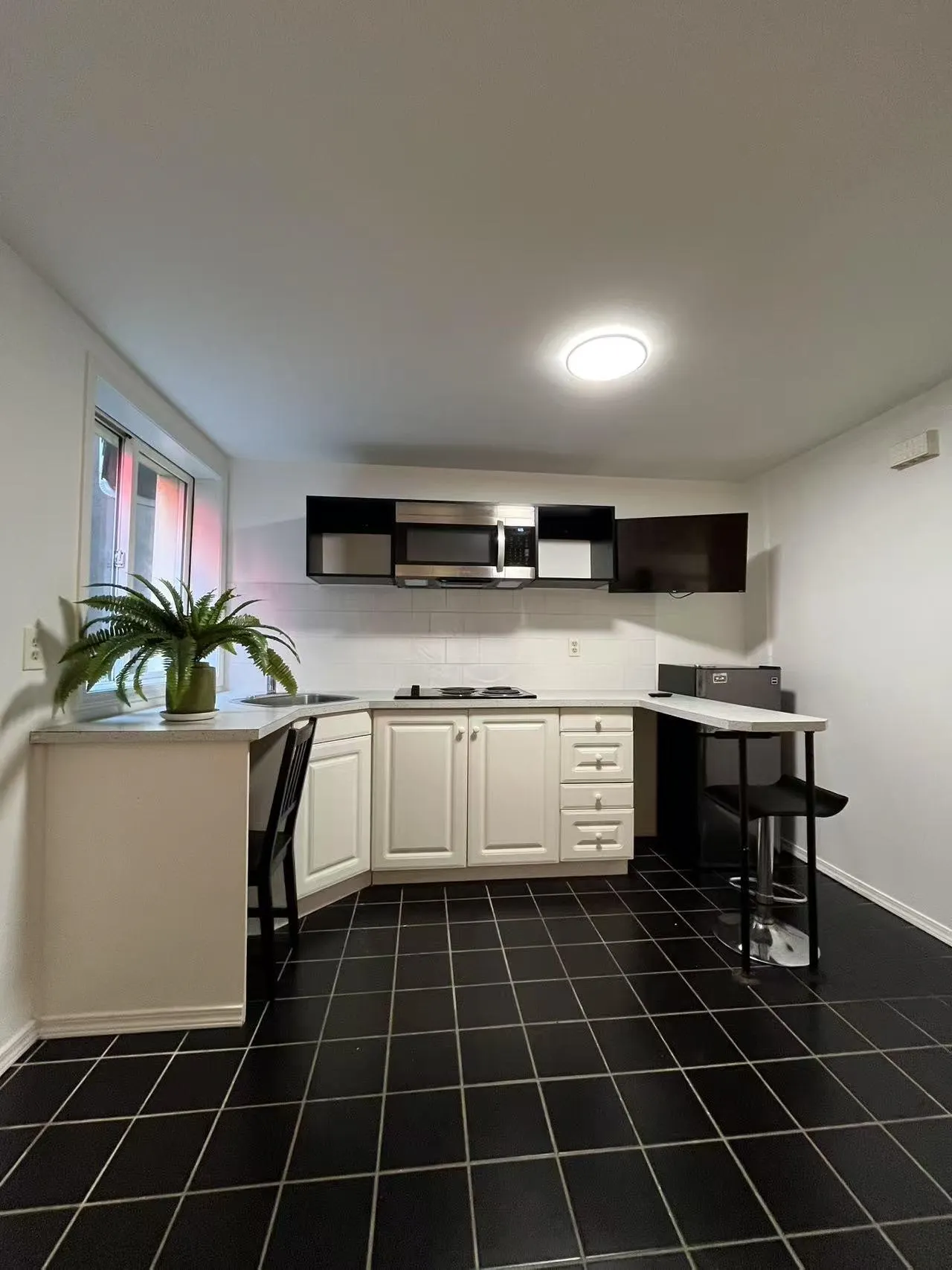 1517 Comox Street #5