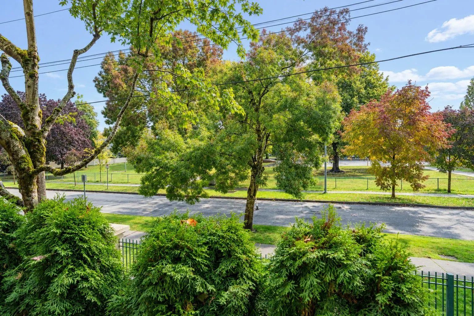 8180 Jones Road #118