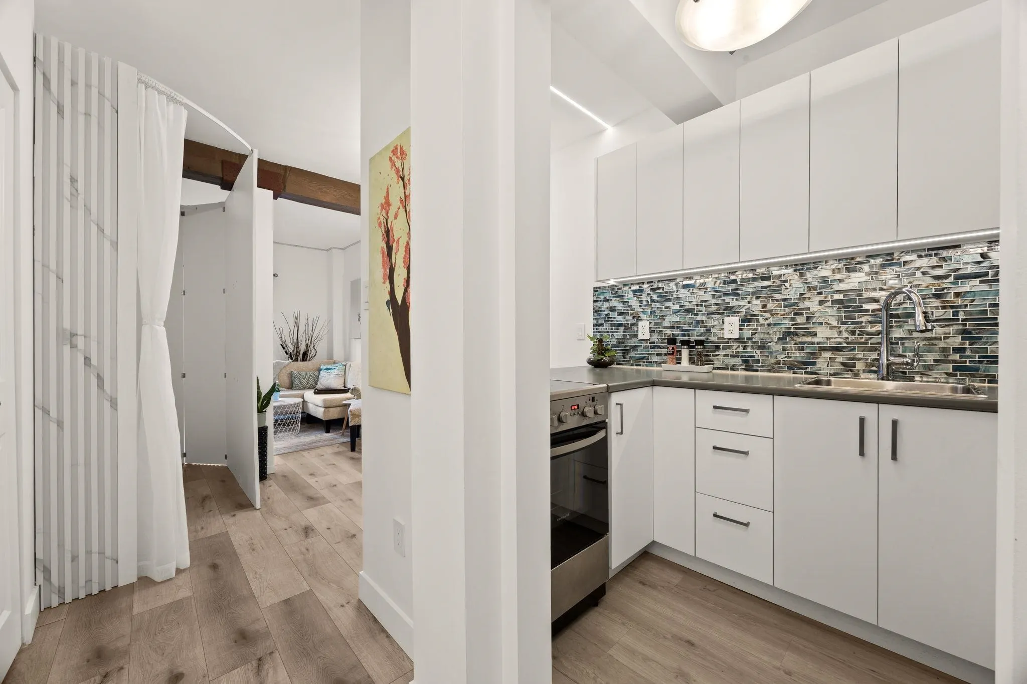 1655 Nelson Street #207