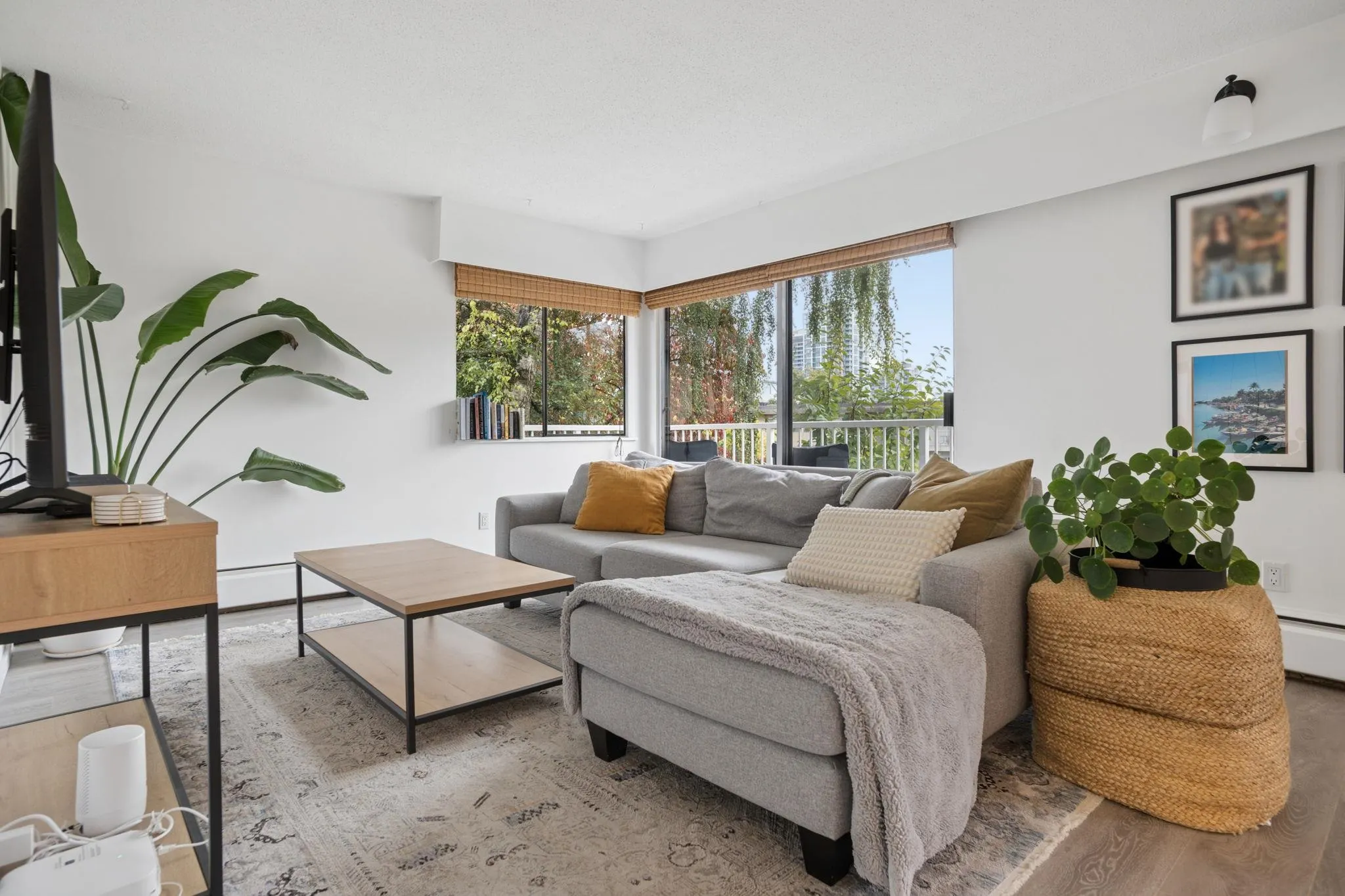 331 Knox Street #204