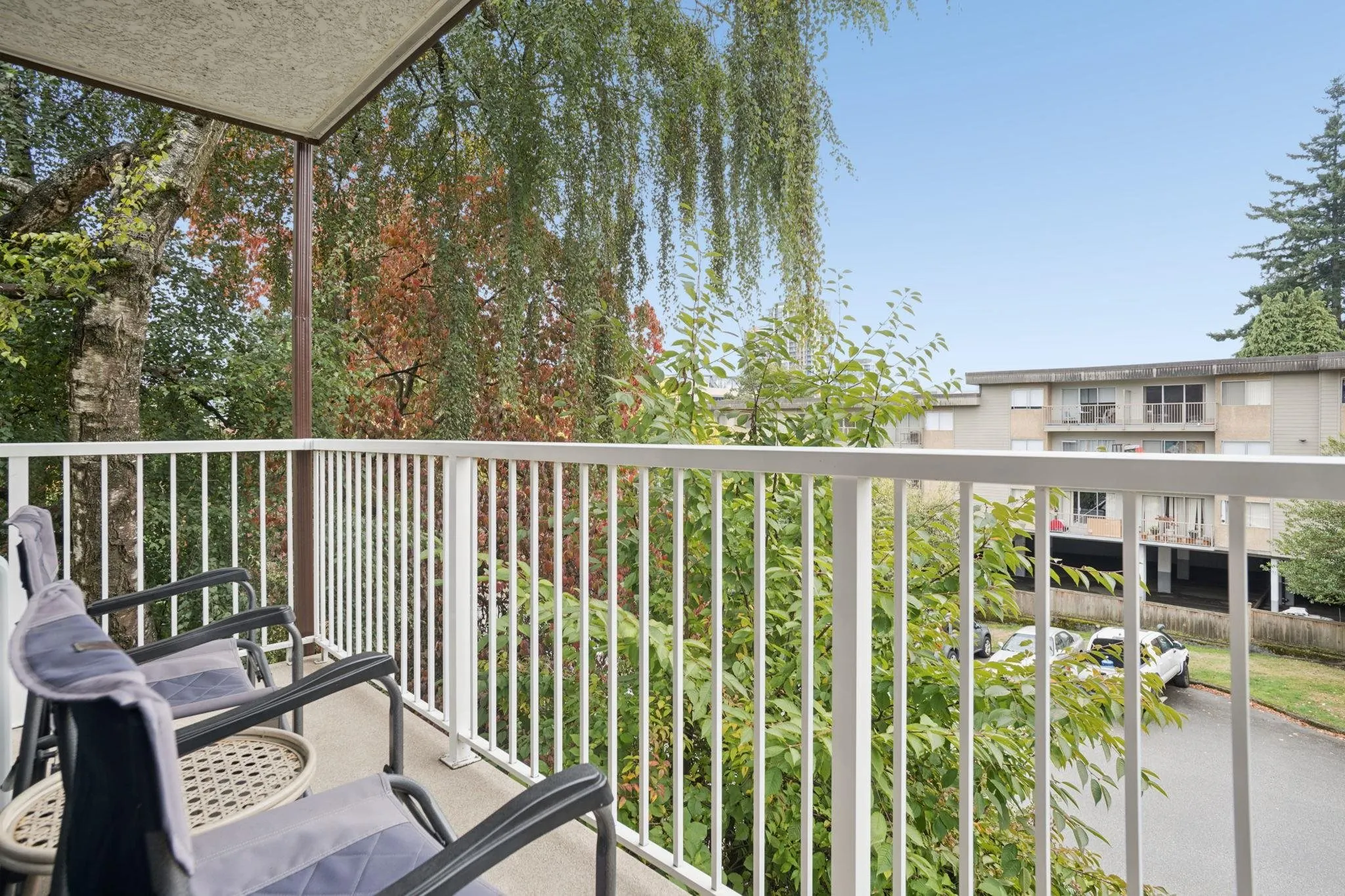 331 Knox Street #204