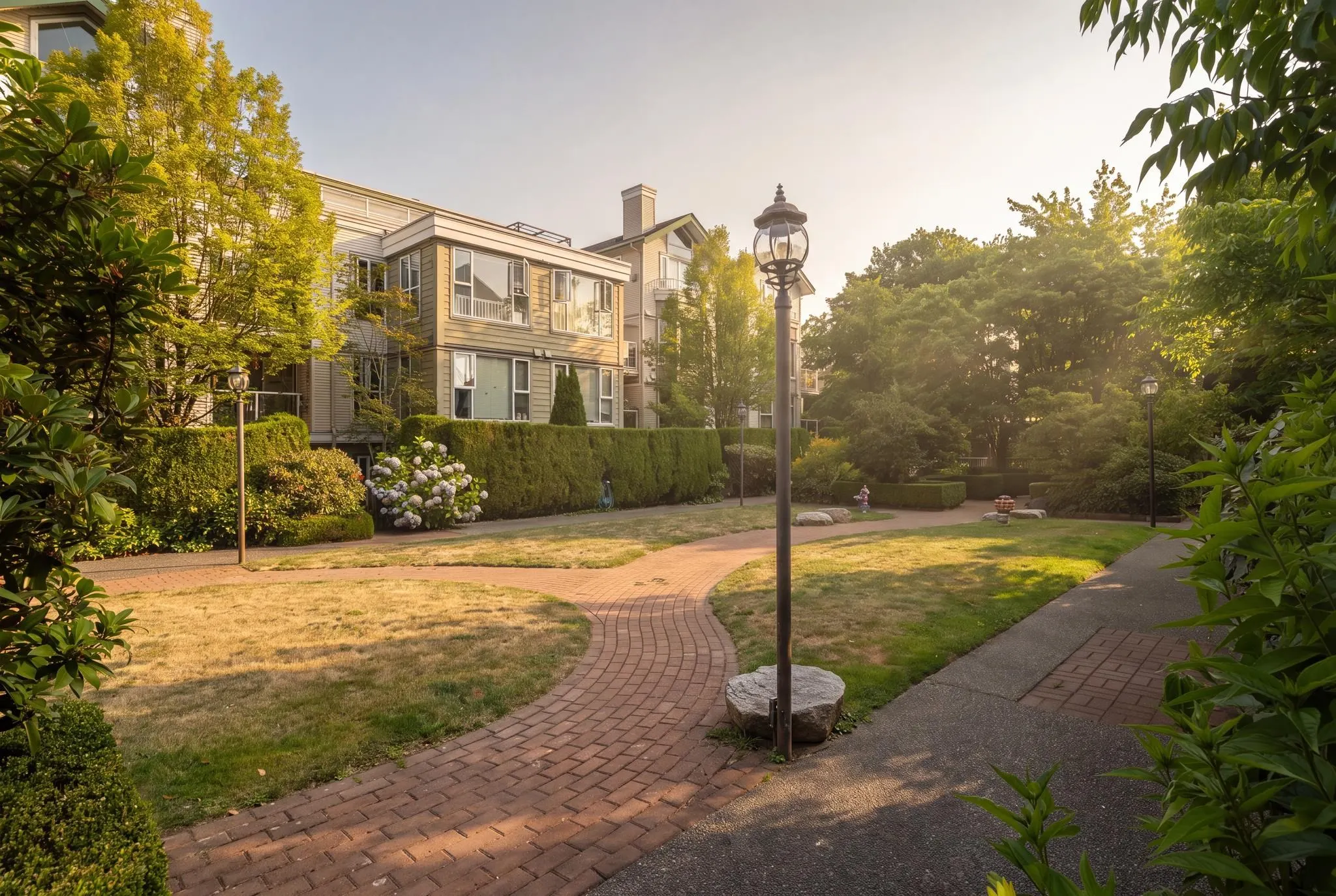 3480 Main Street #312