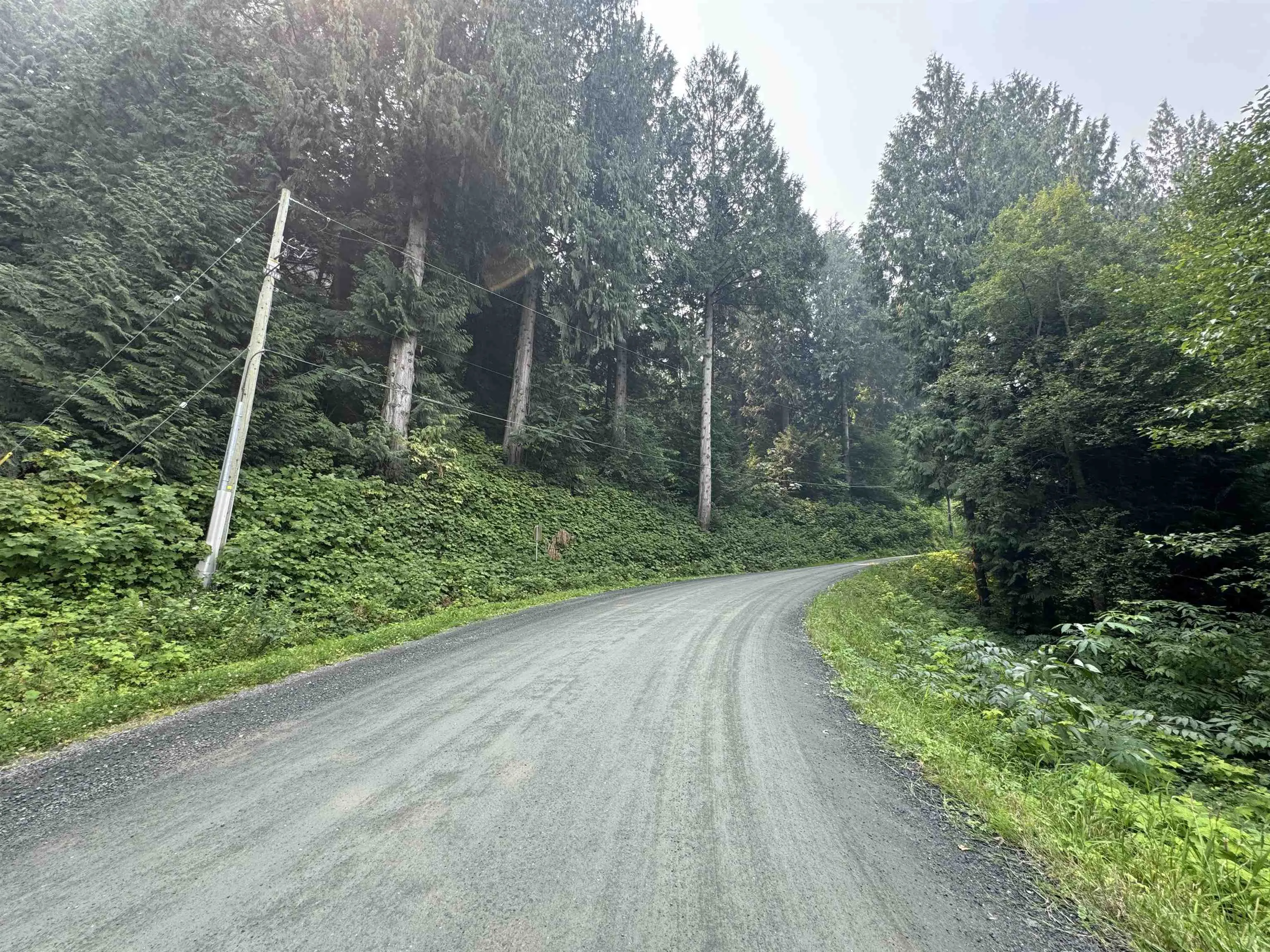 8000 Nixon Road