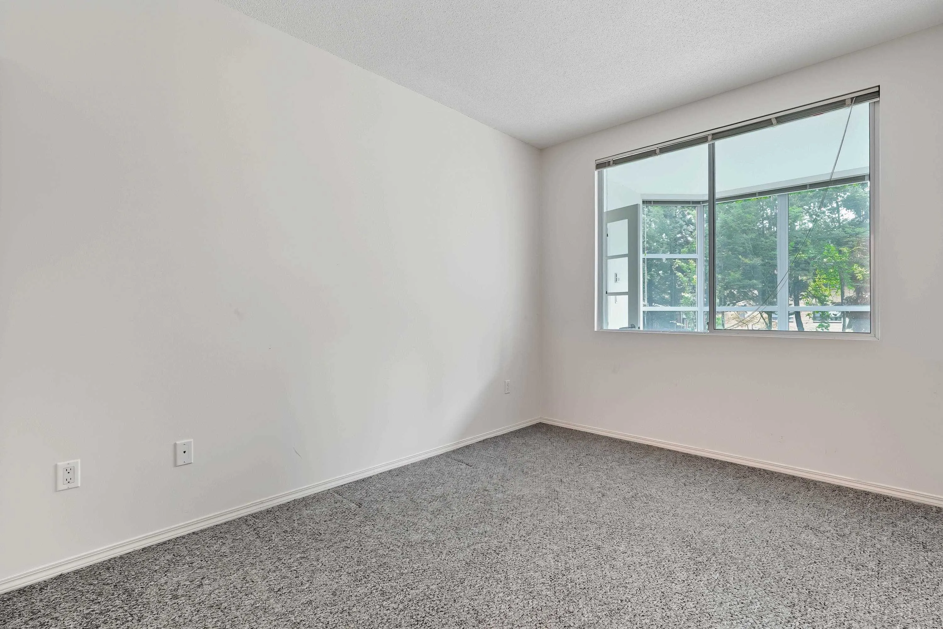 12148 224 Street #108