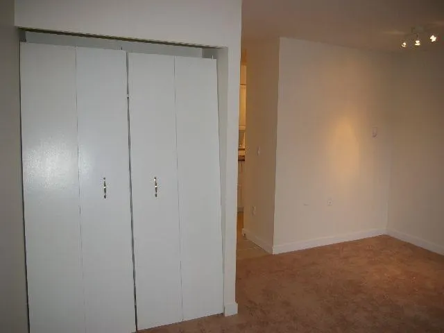 707 8 Street #113