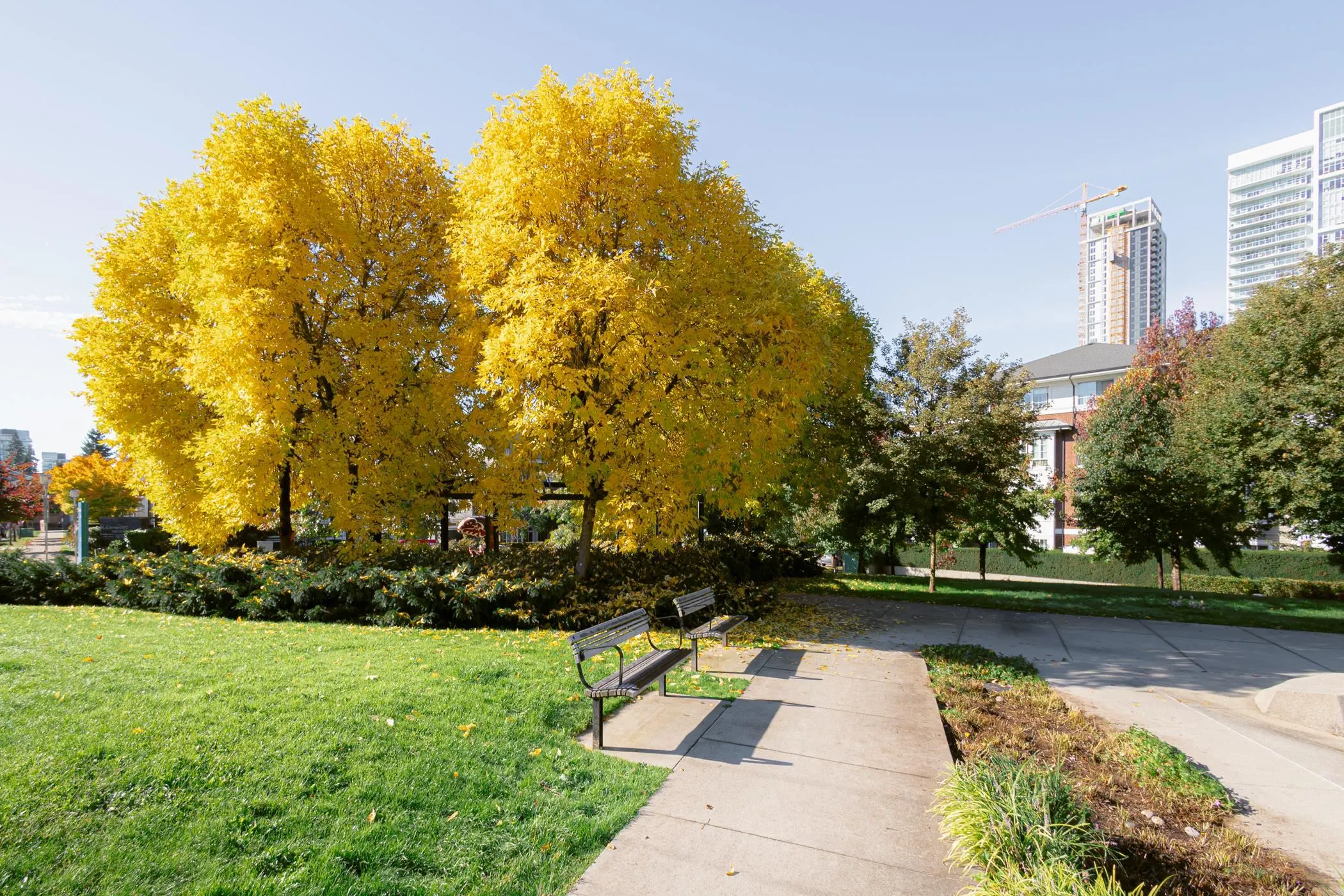 545 Foster Avenue #203