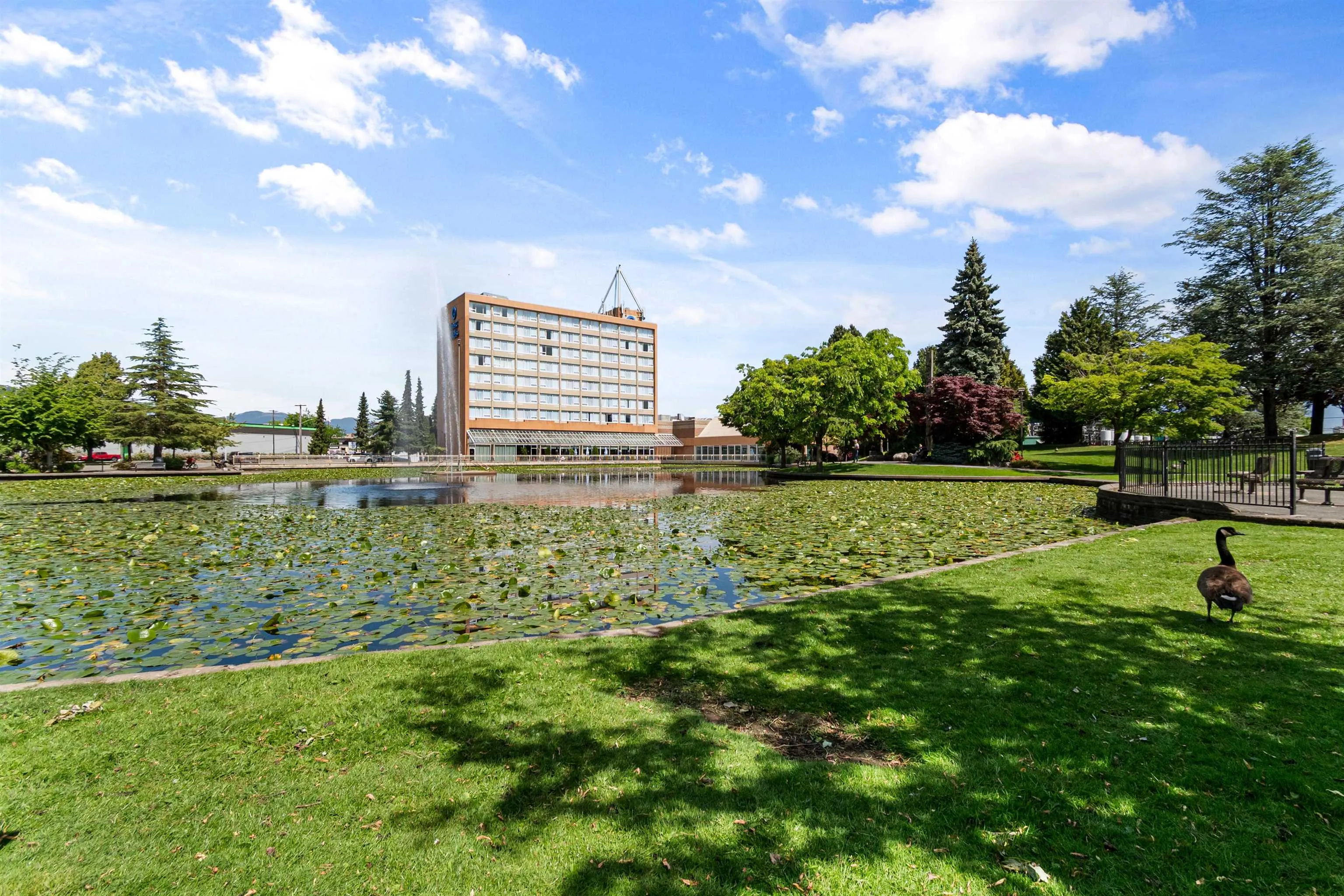 45915 Cheam Avenue #10
