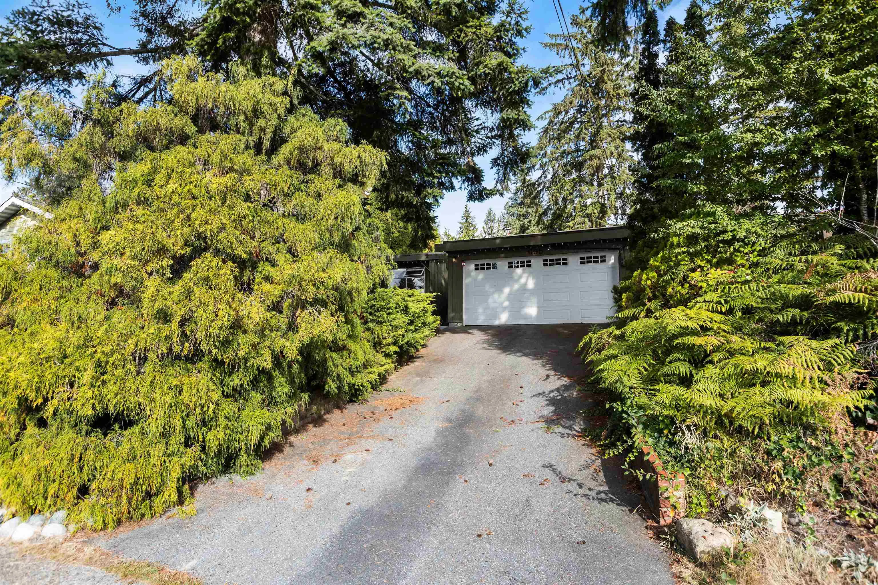 695 Macintosh Street