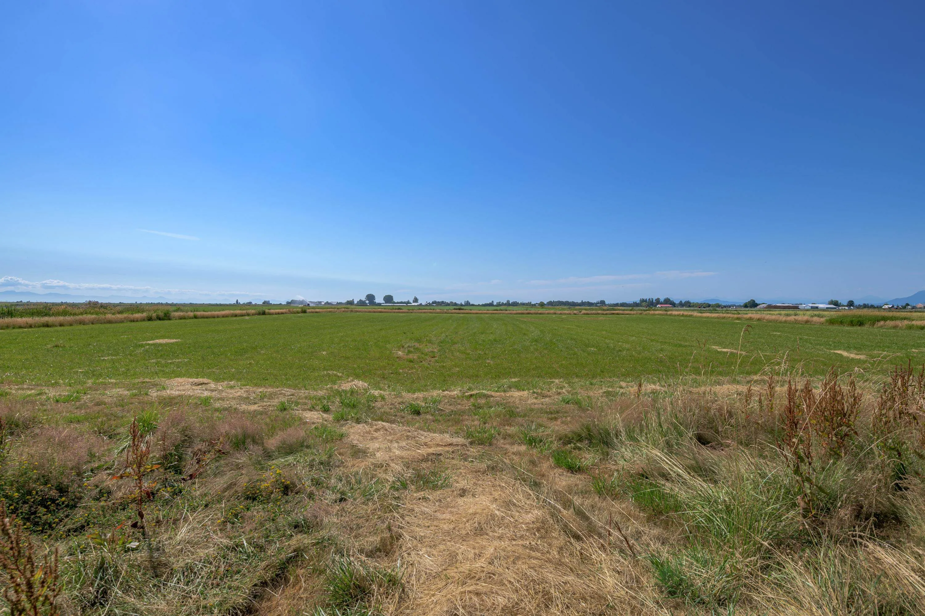 3995 Trim Road