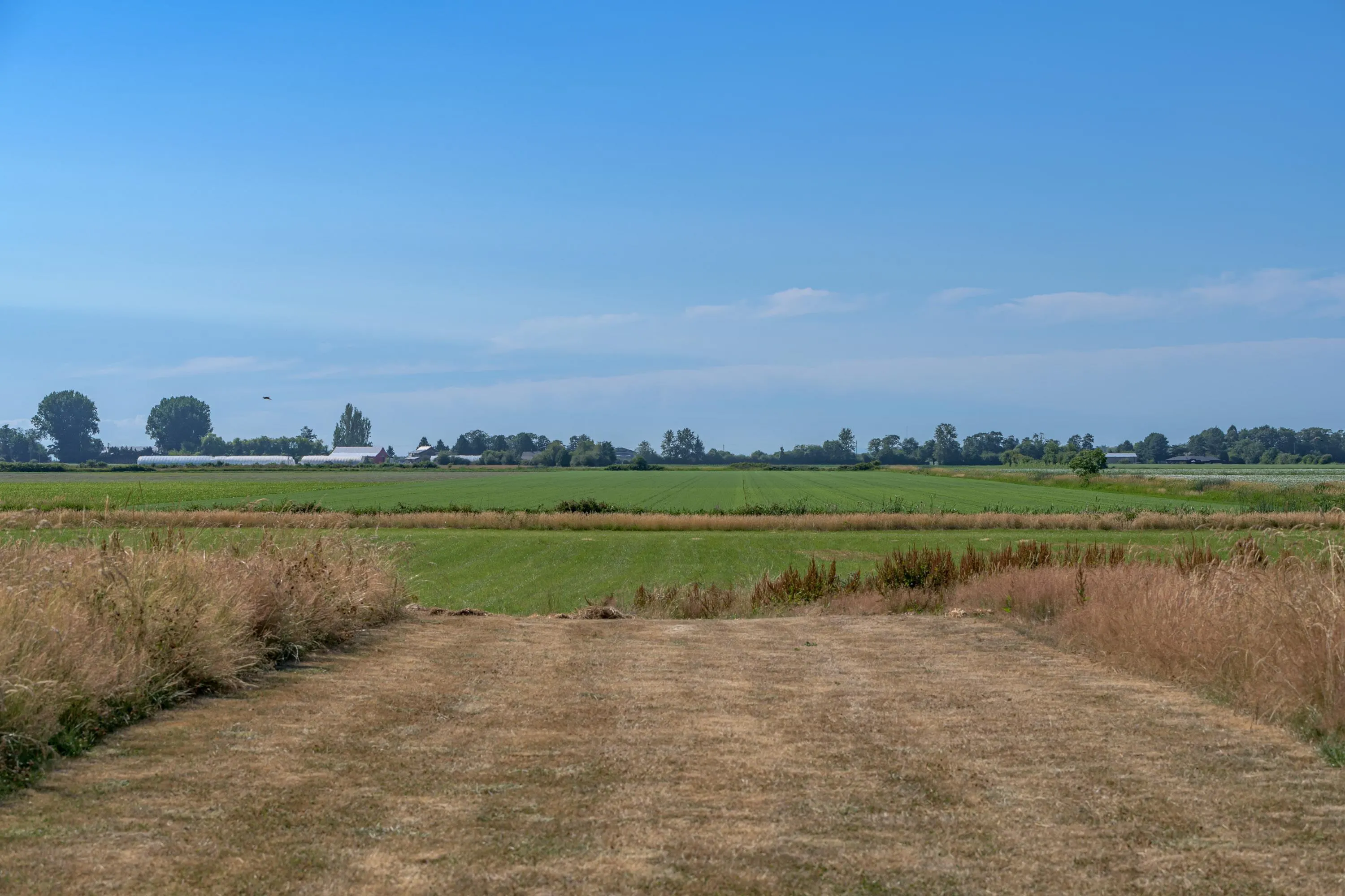 3995 Trim Road