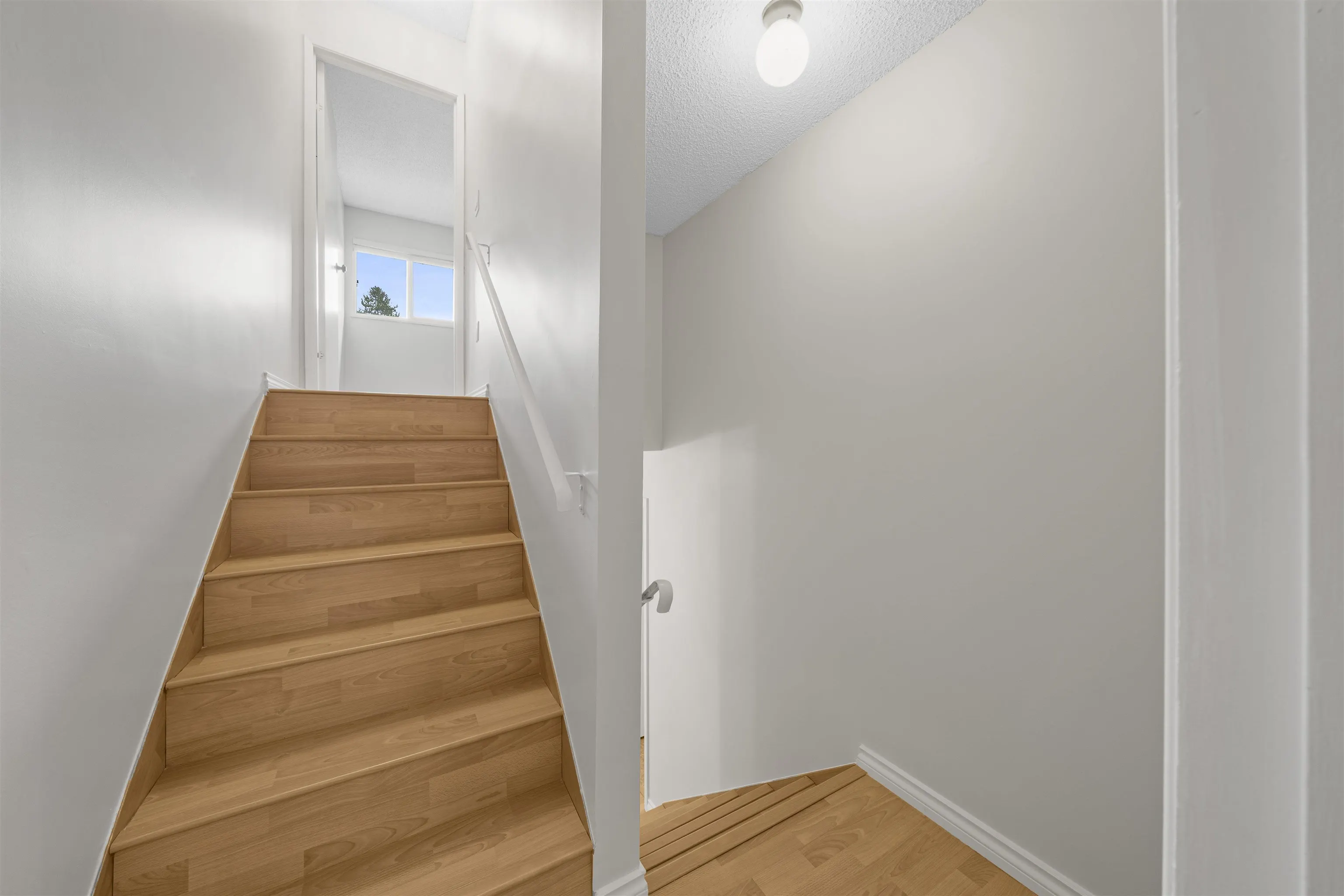 231 Balmoral Place