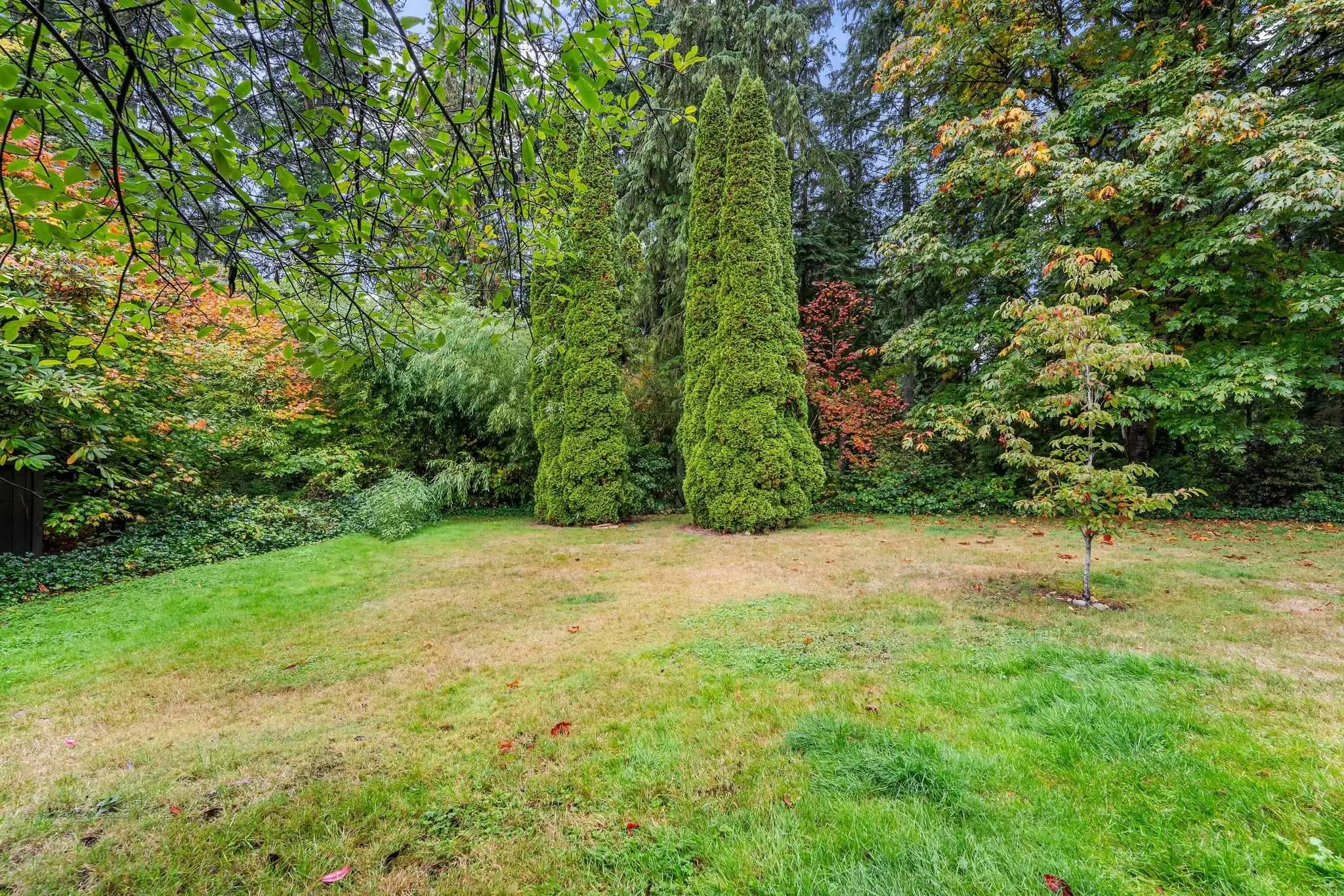 2894 Mount Seymour Parkway