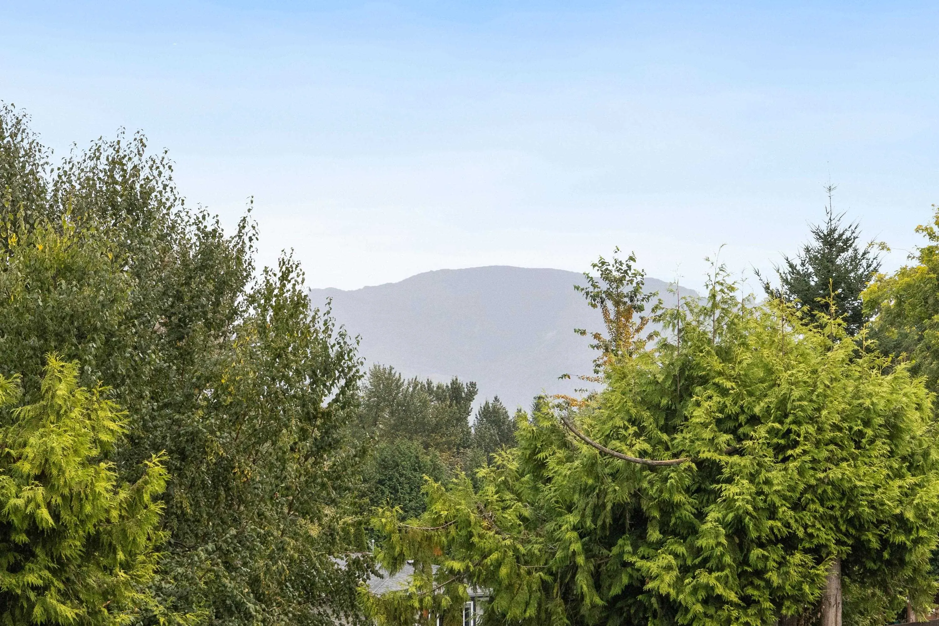 34692 Dewdney Trunk Road
