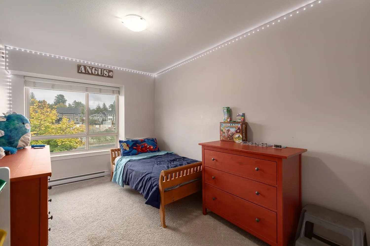 23986 104 Avenue #11