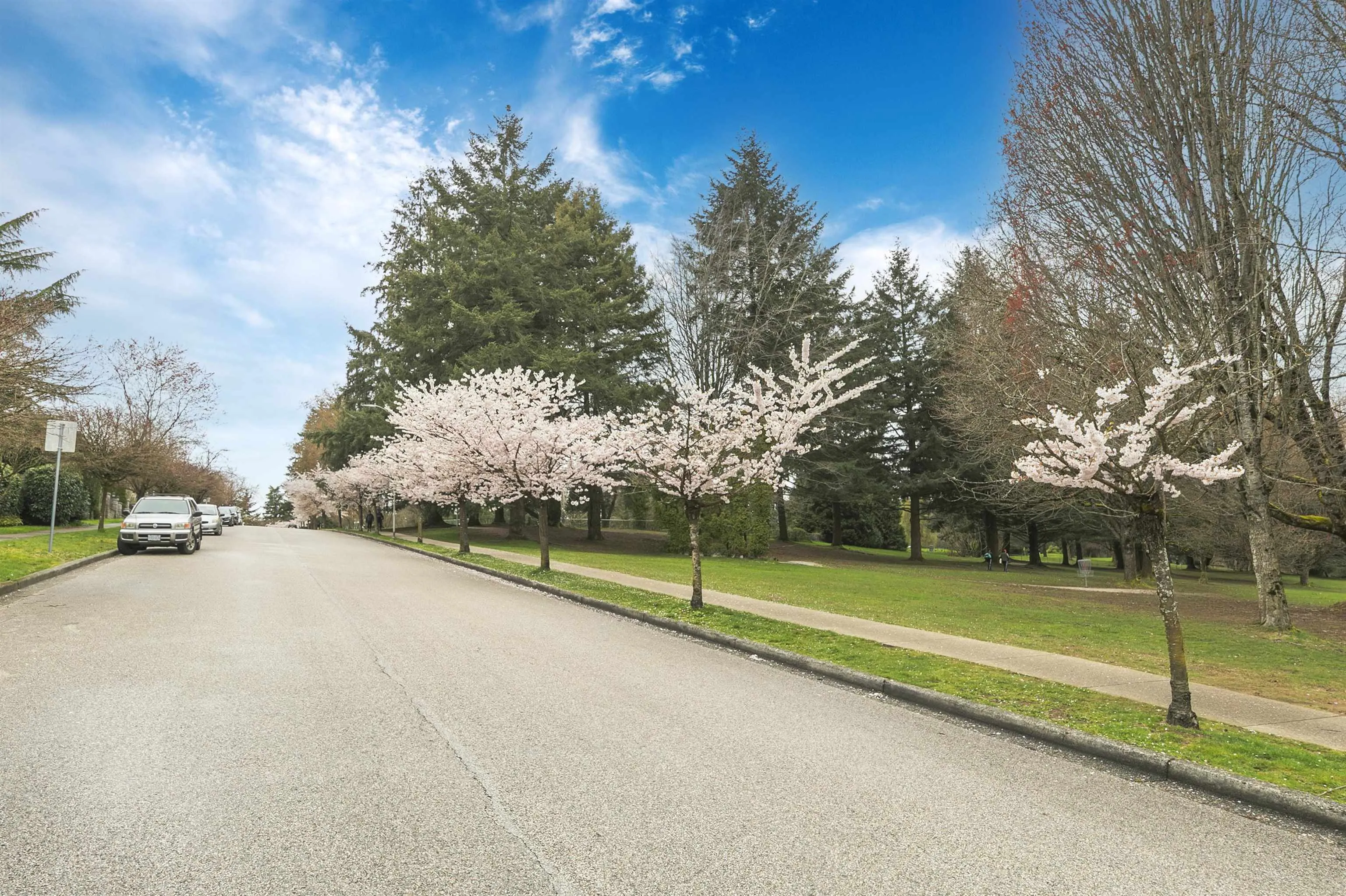 14 W 37th Avenue