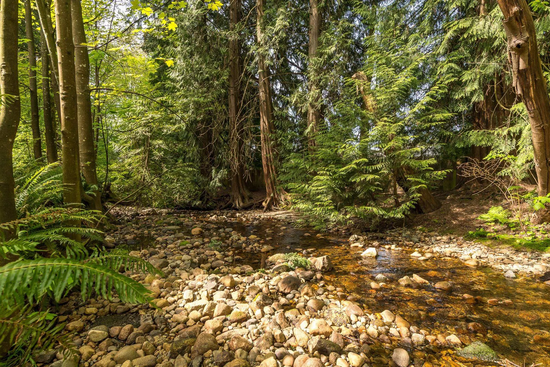 3275 Mountain Highway #212