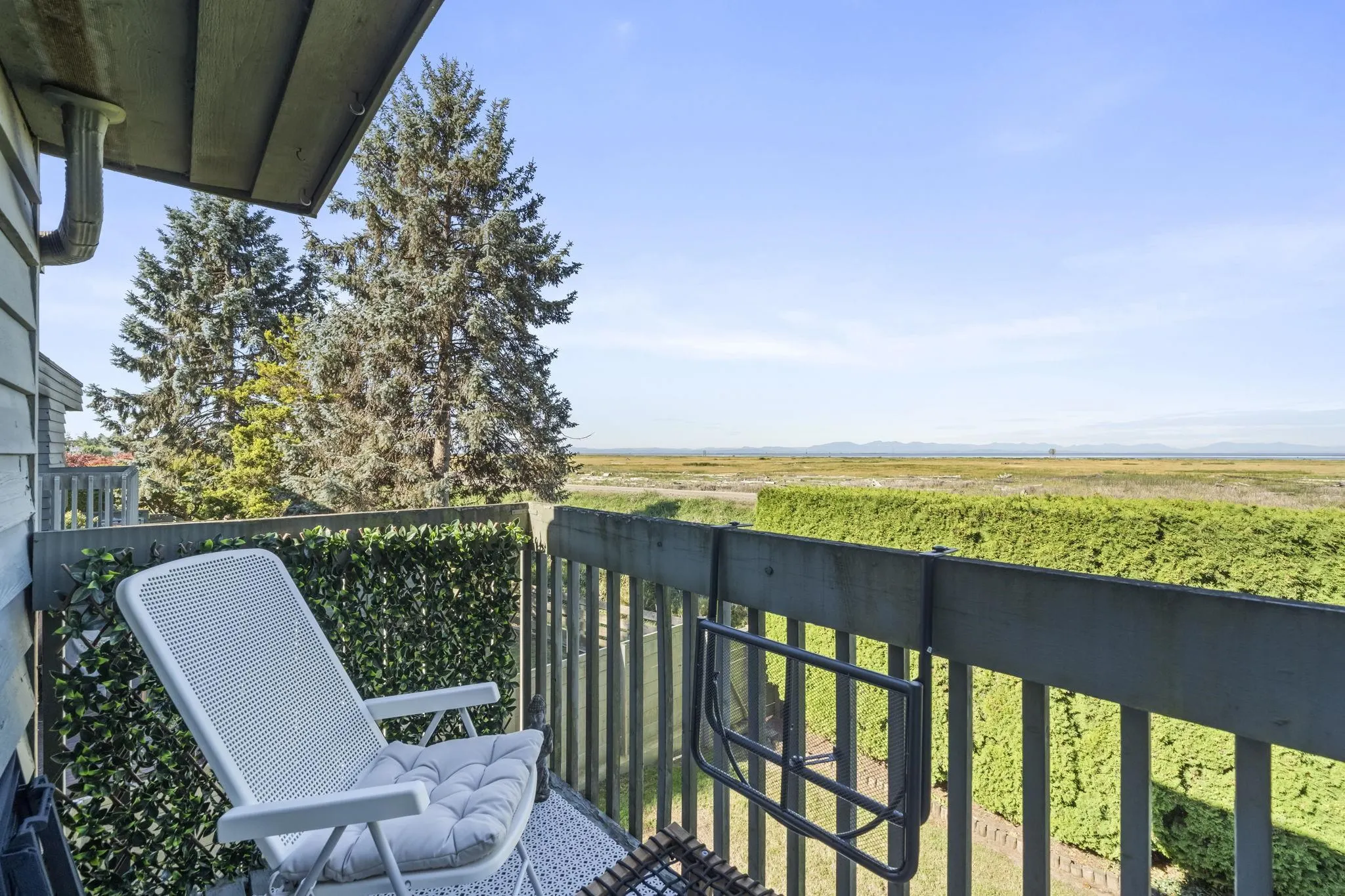 3031 Williams Road #171