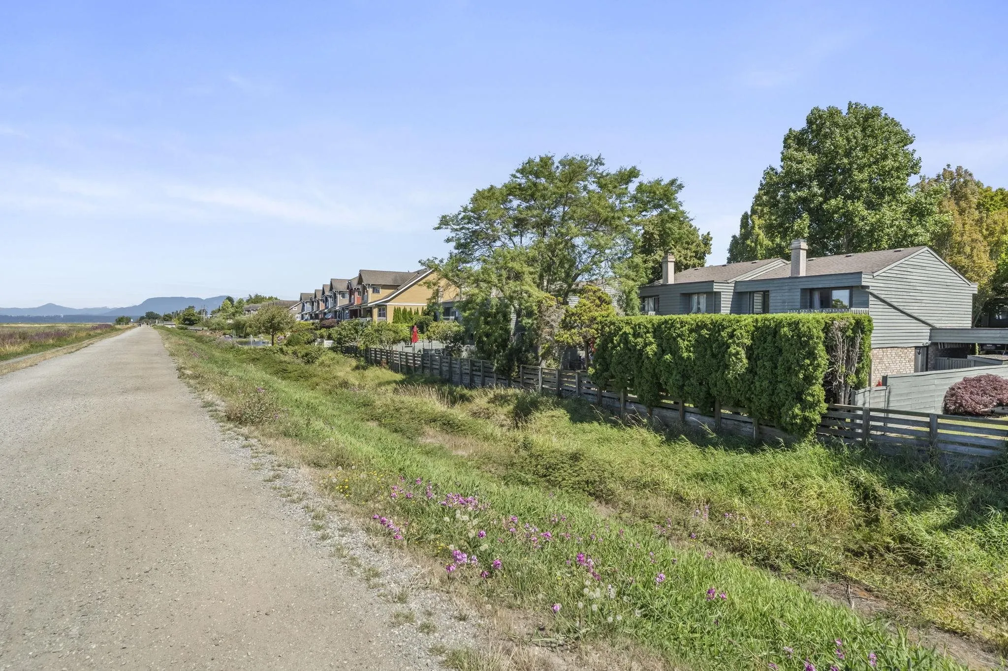 3031 Williams Road #171