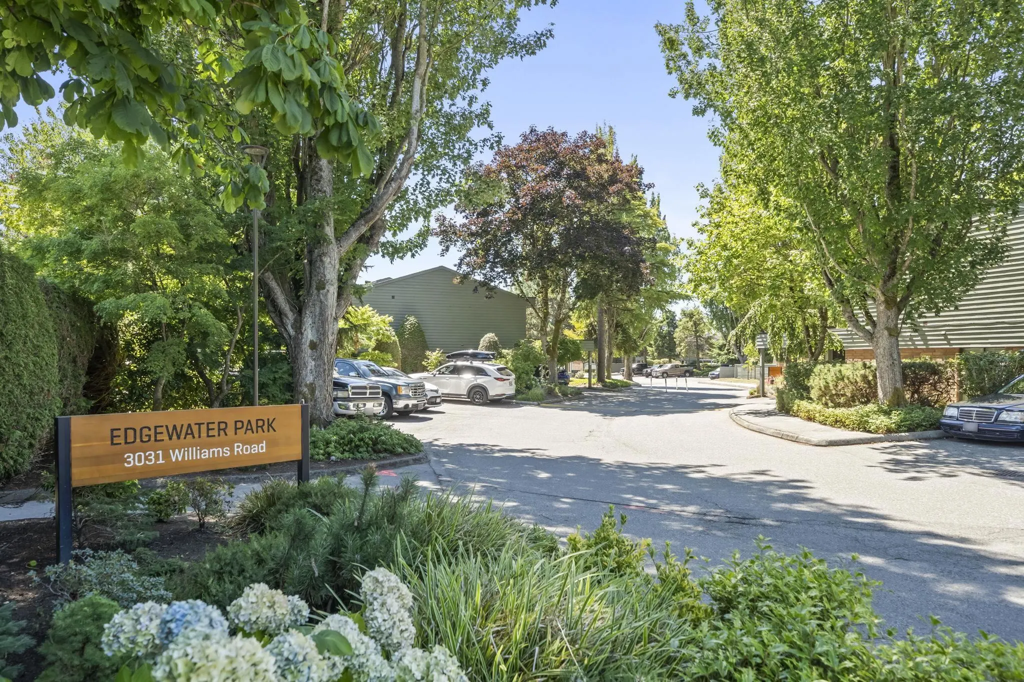 3031 Williams Road #171