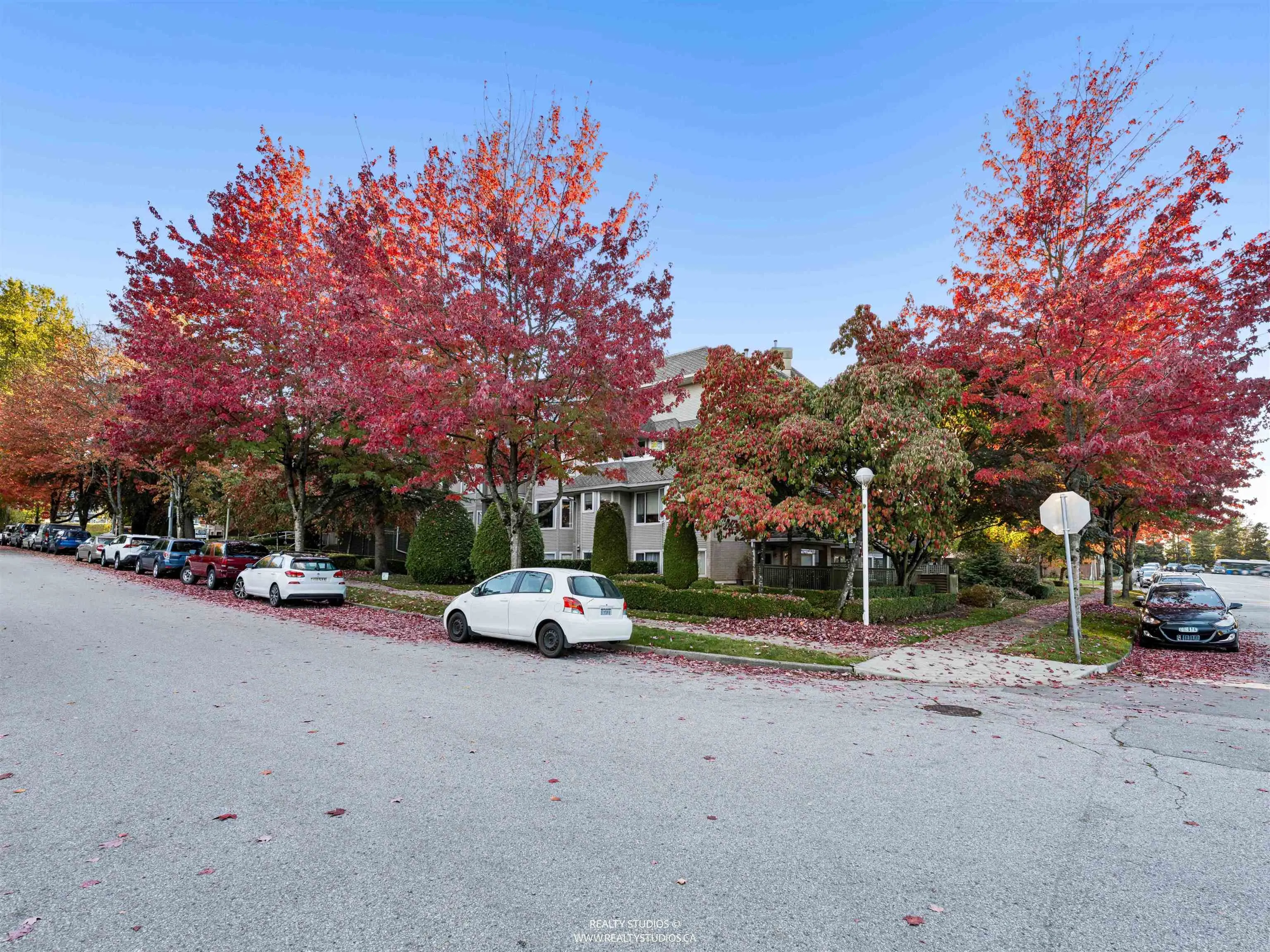 3183 Esmond Avenue #504