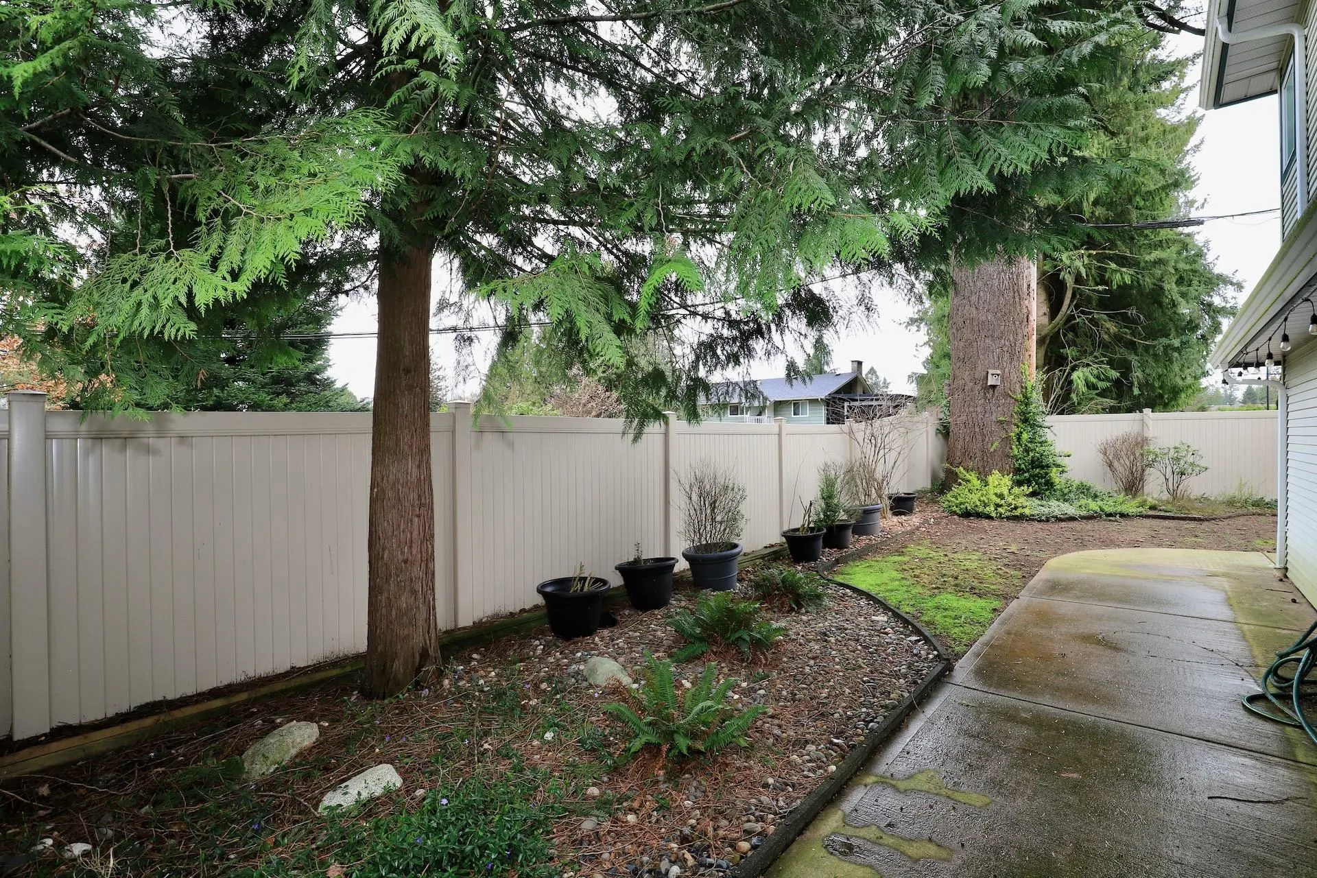 21409 Dewdney Trunk Road #16