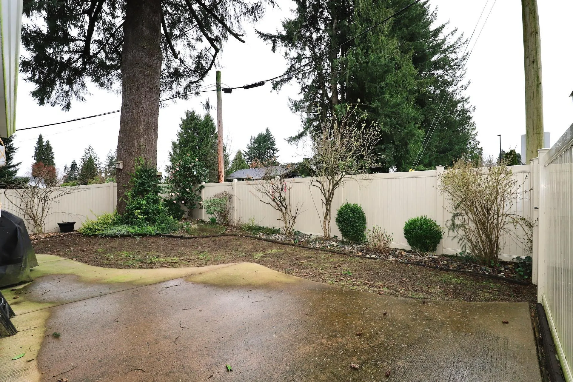 21409 Dewdney Trunk Road #16
