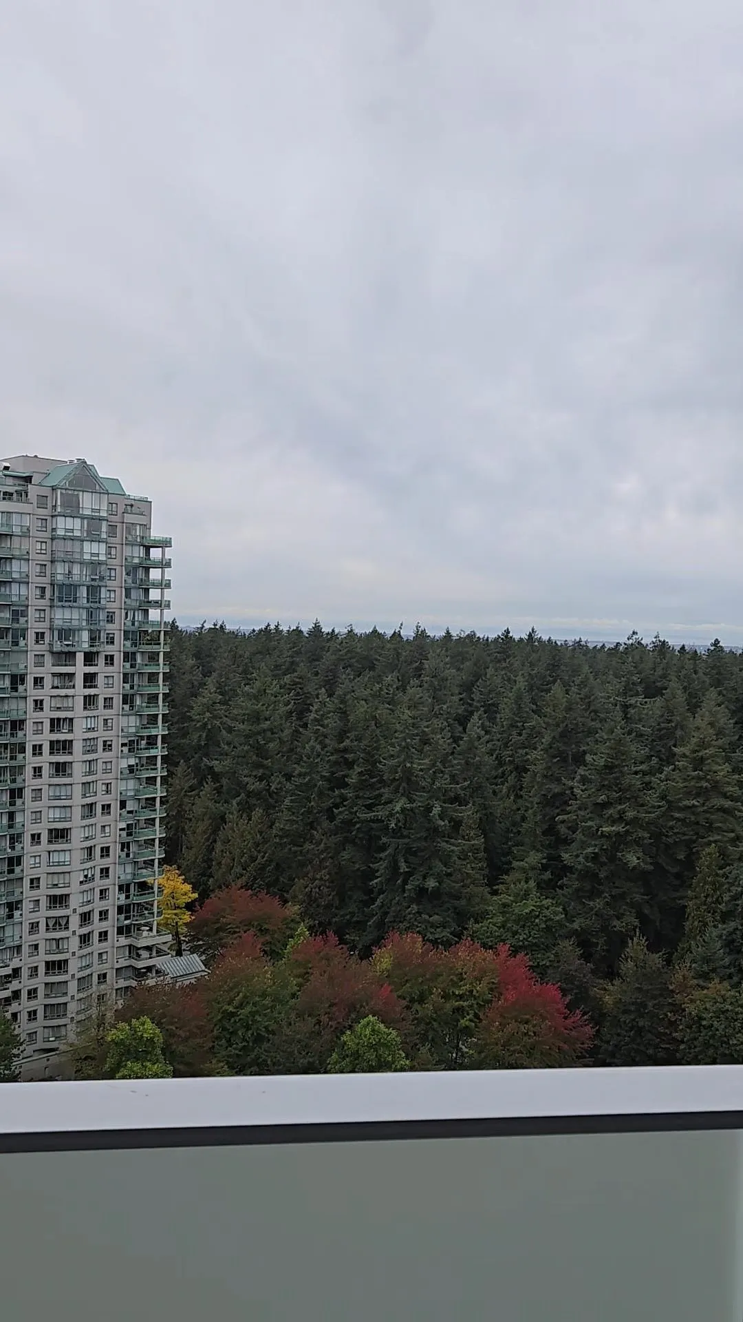 5938 Olive Avenue #2108
