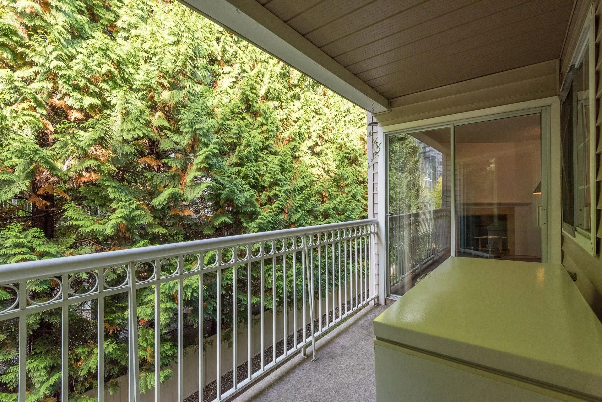 2963 Burlington Drive #303