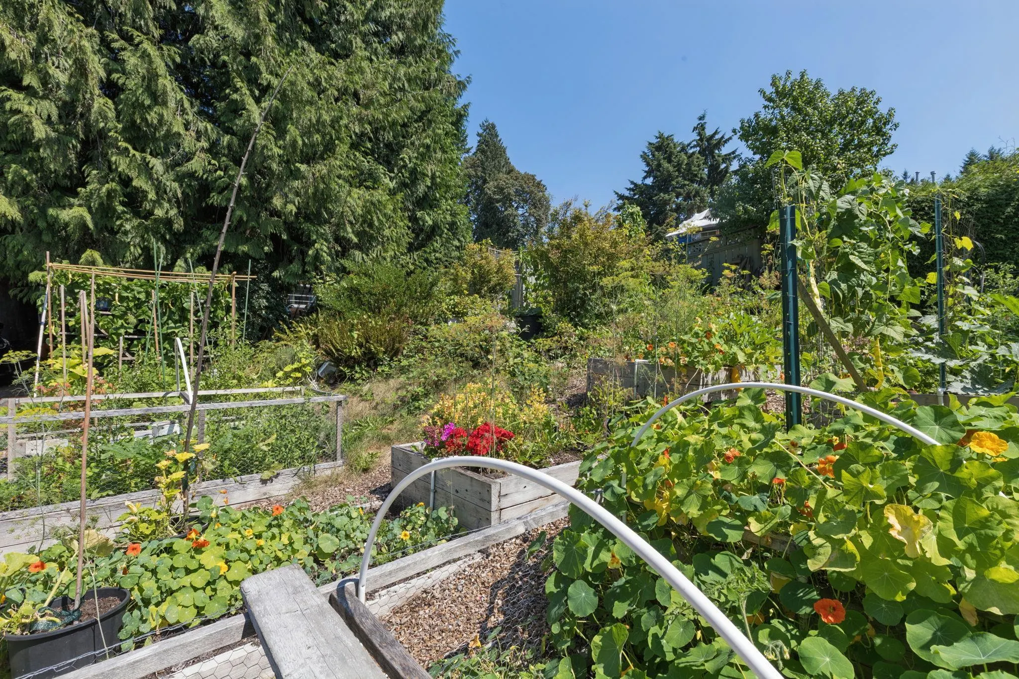 1084 Lillooet Road