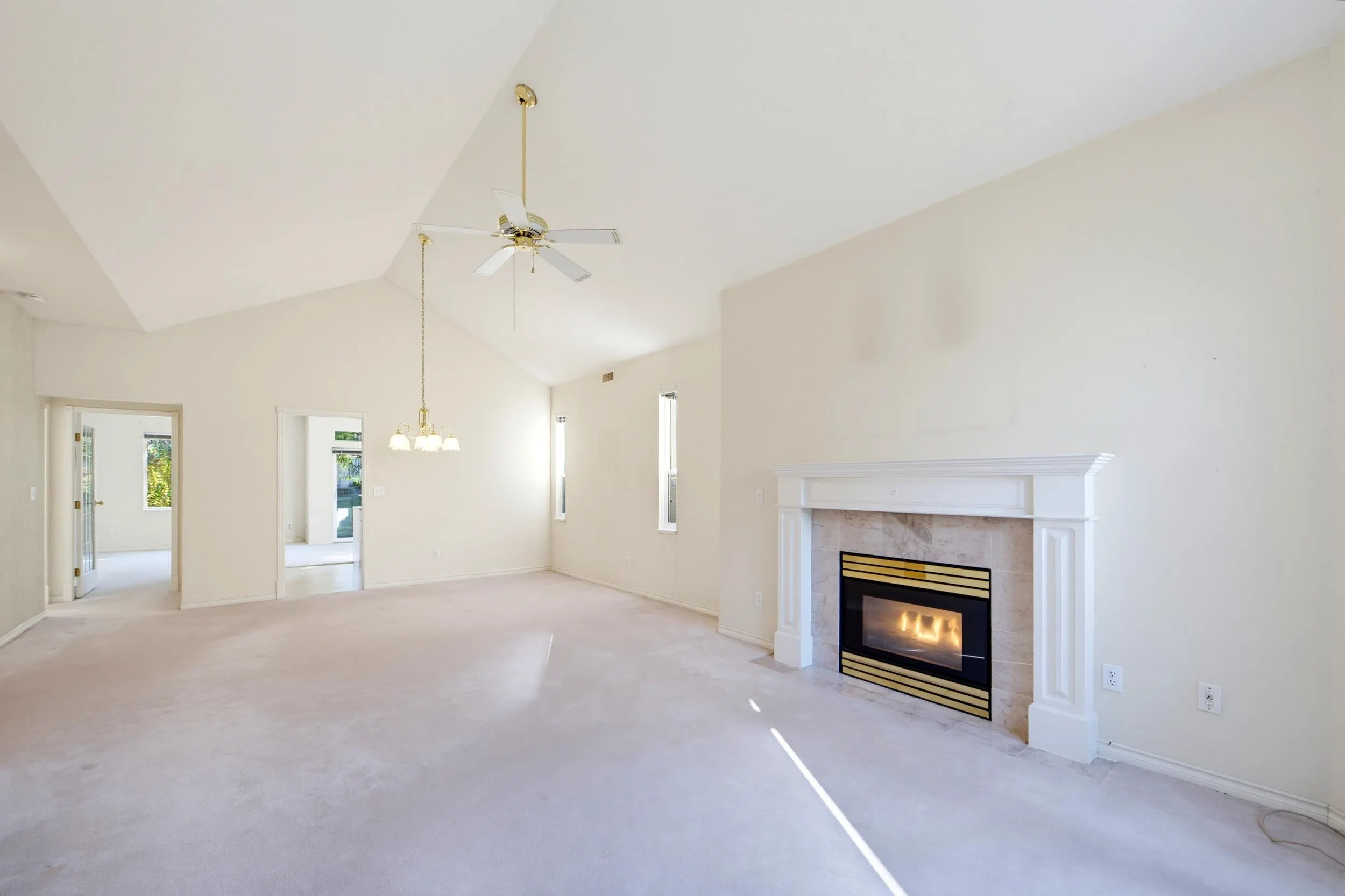 20655 88 Avenue #215