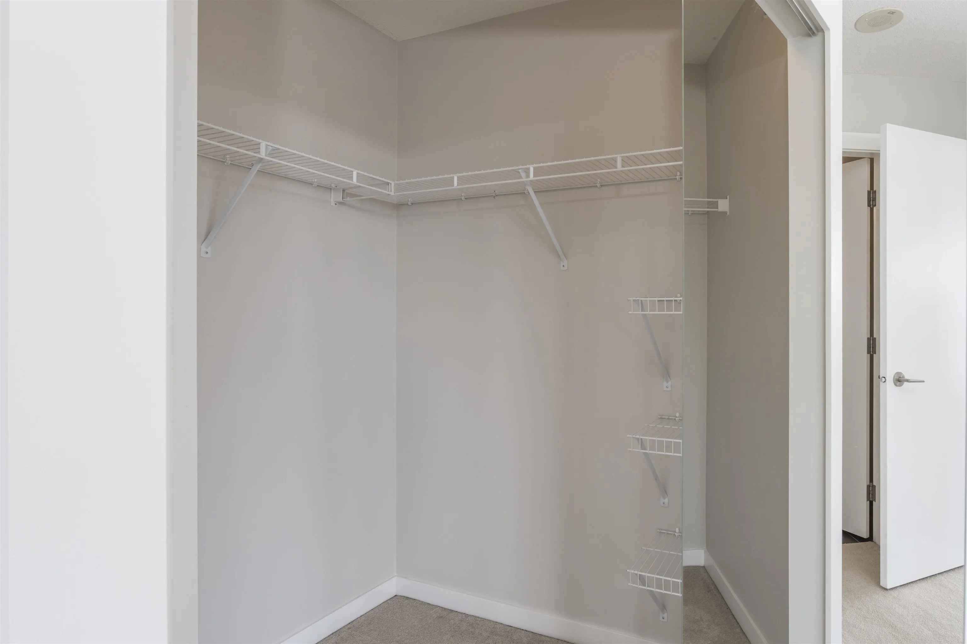 2133 Douglas Road #507