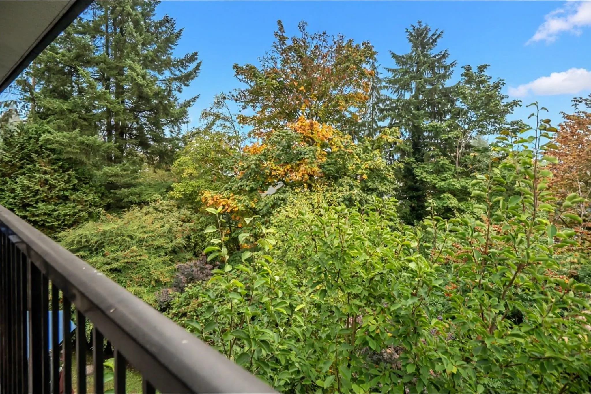 1924 Highview Place