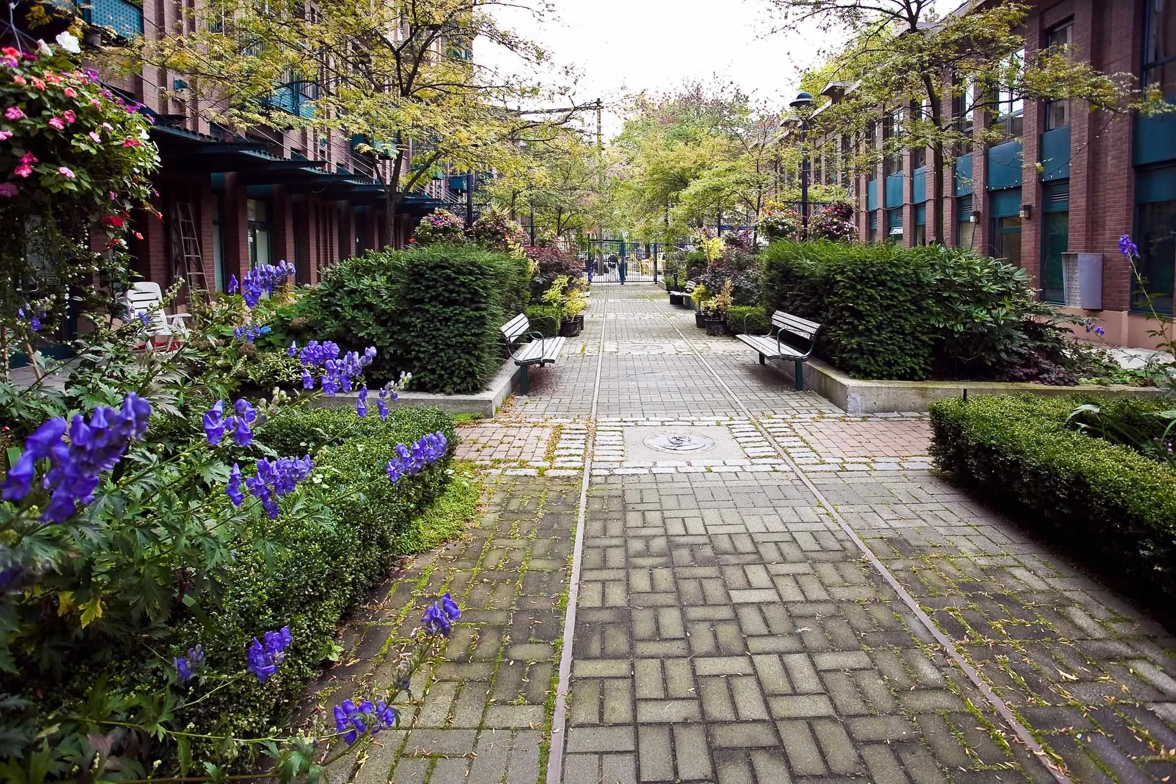 22 E Cordova Street #313