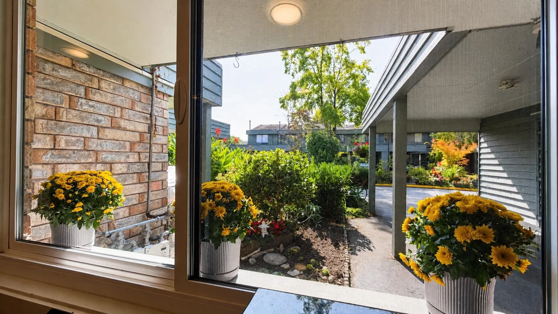 3031 Williams Road #143