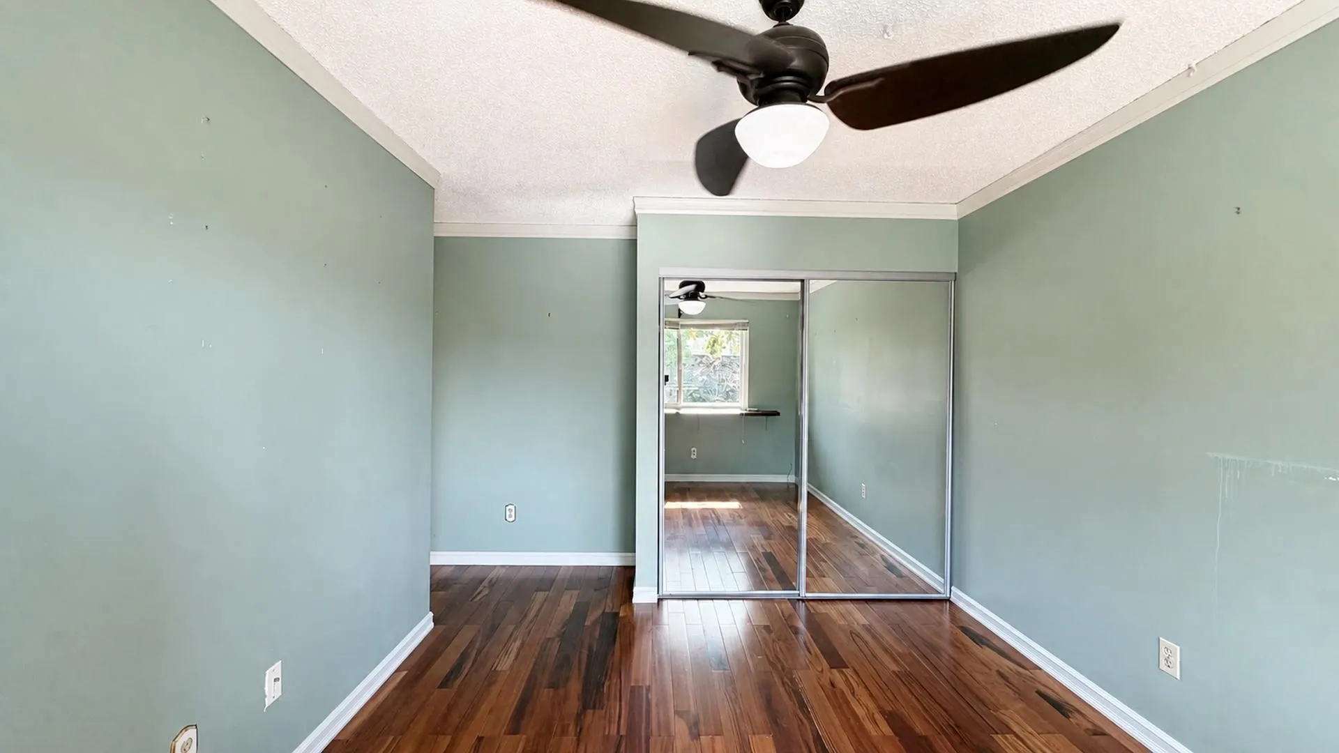 3031 Williams Road #143