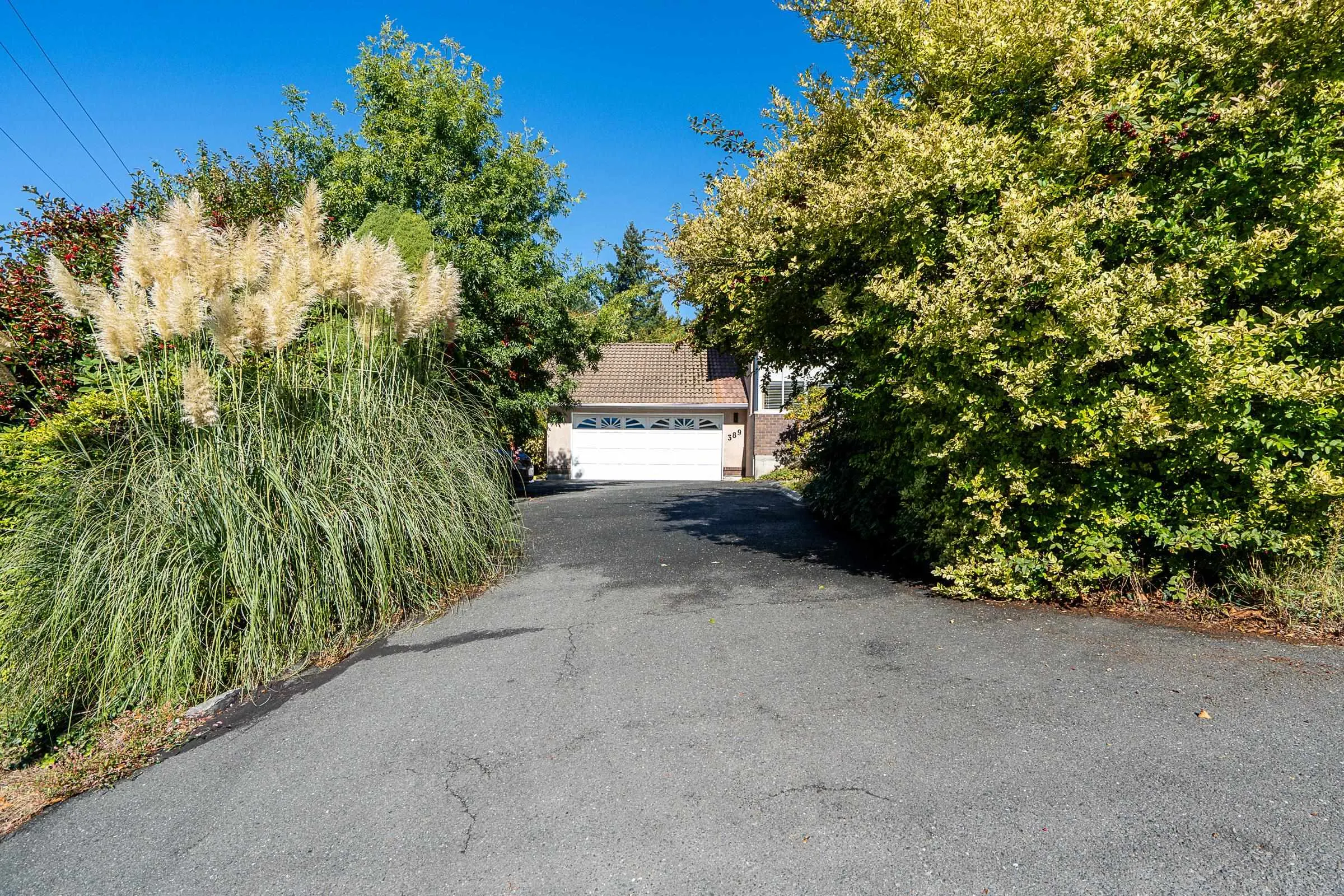 389 Metta Street