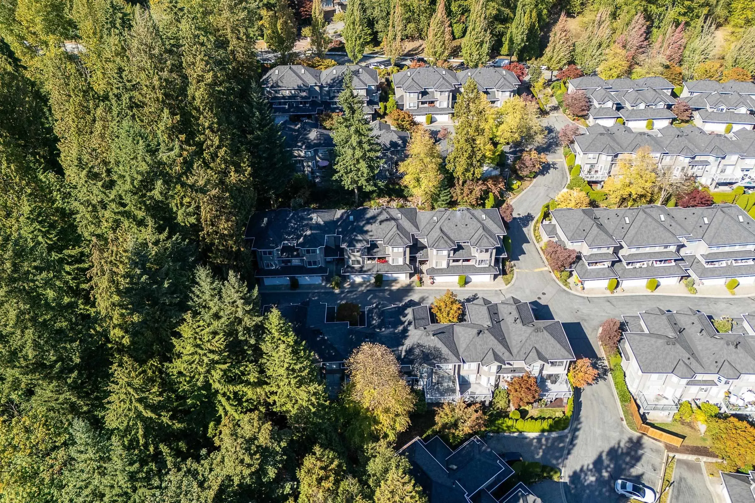 2990 Panorama Drive #43
