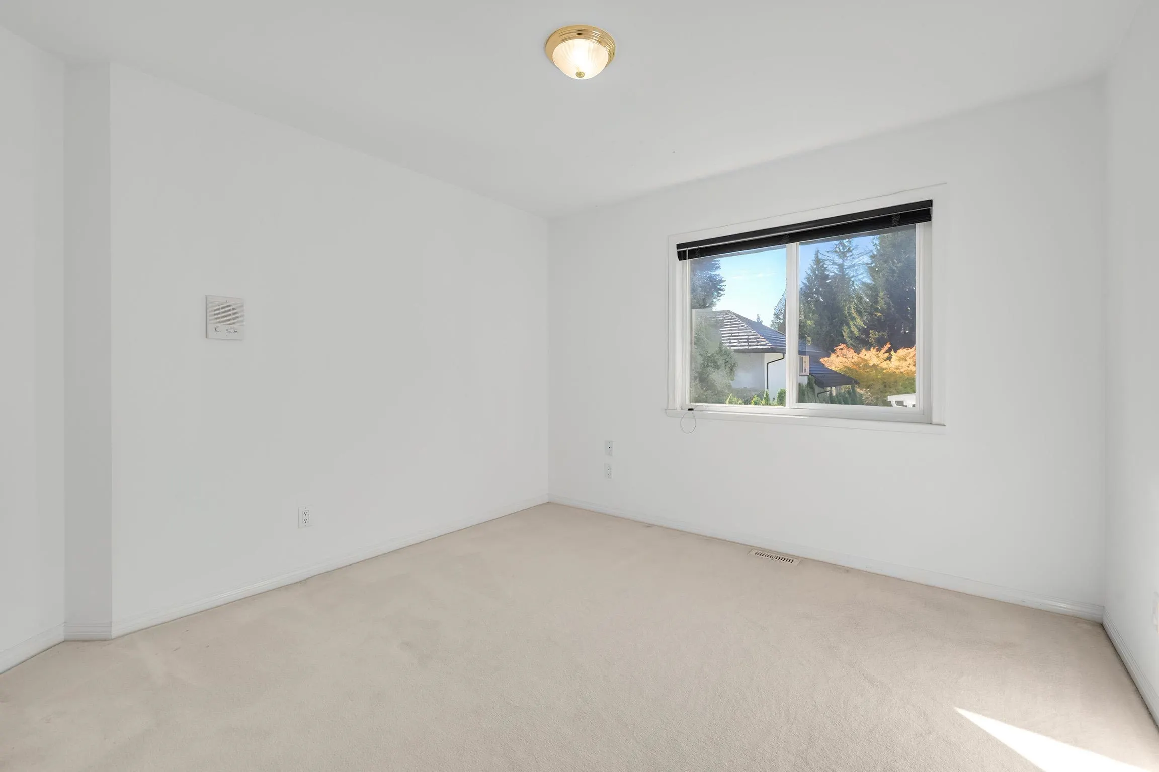 11036 163a Street
