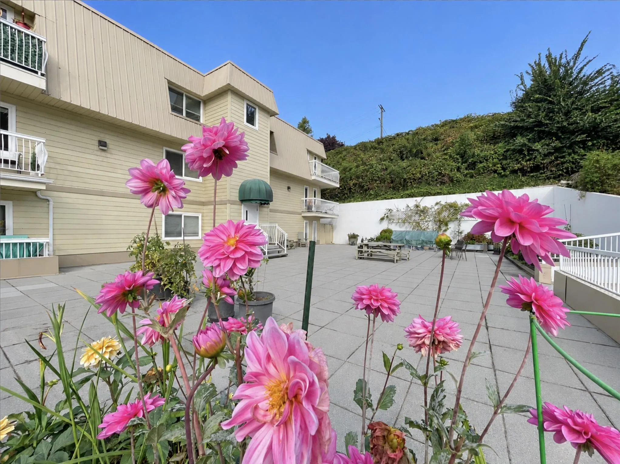 7436 Stave Lake Street #329