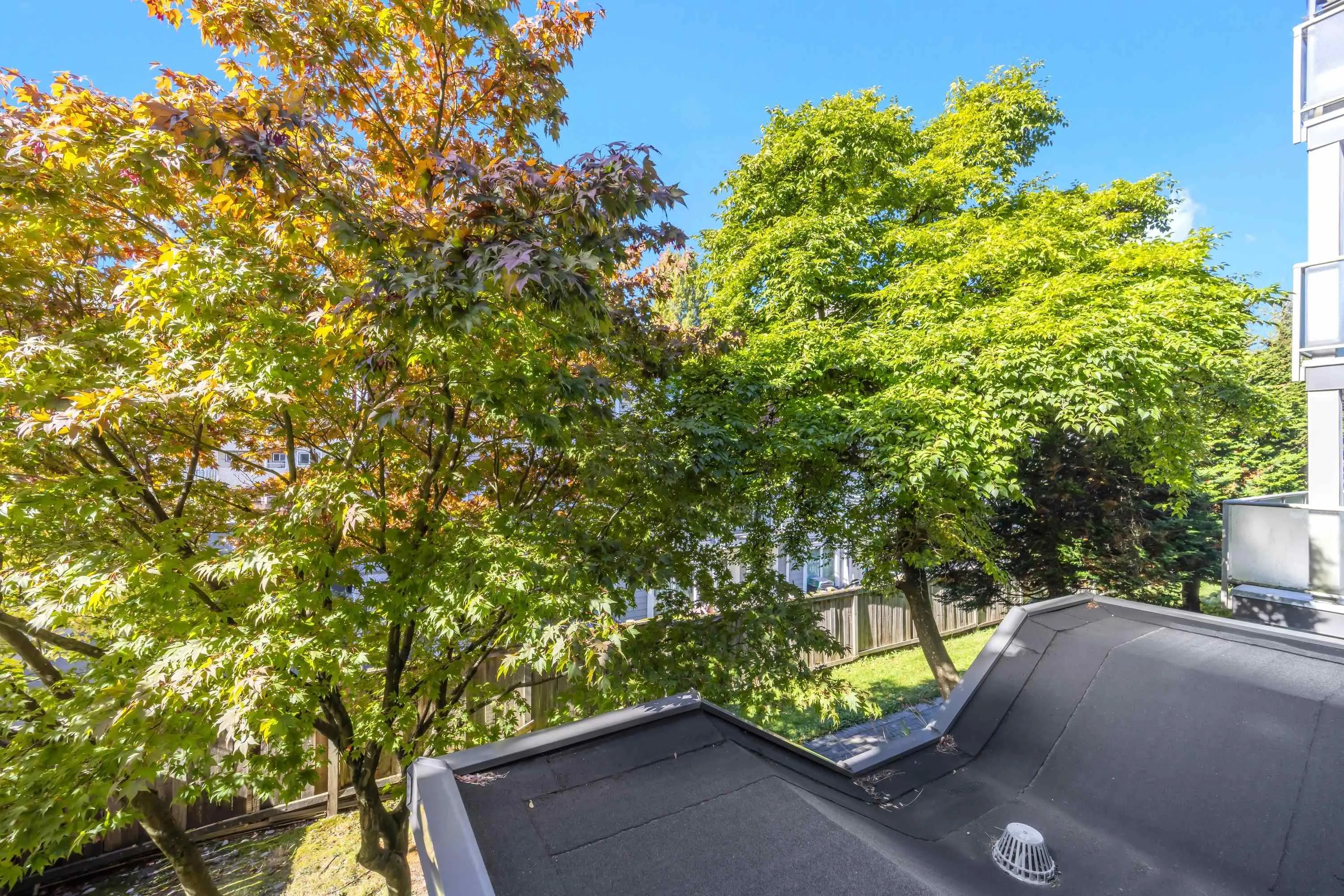 14355 103 Avenue #206
