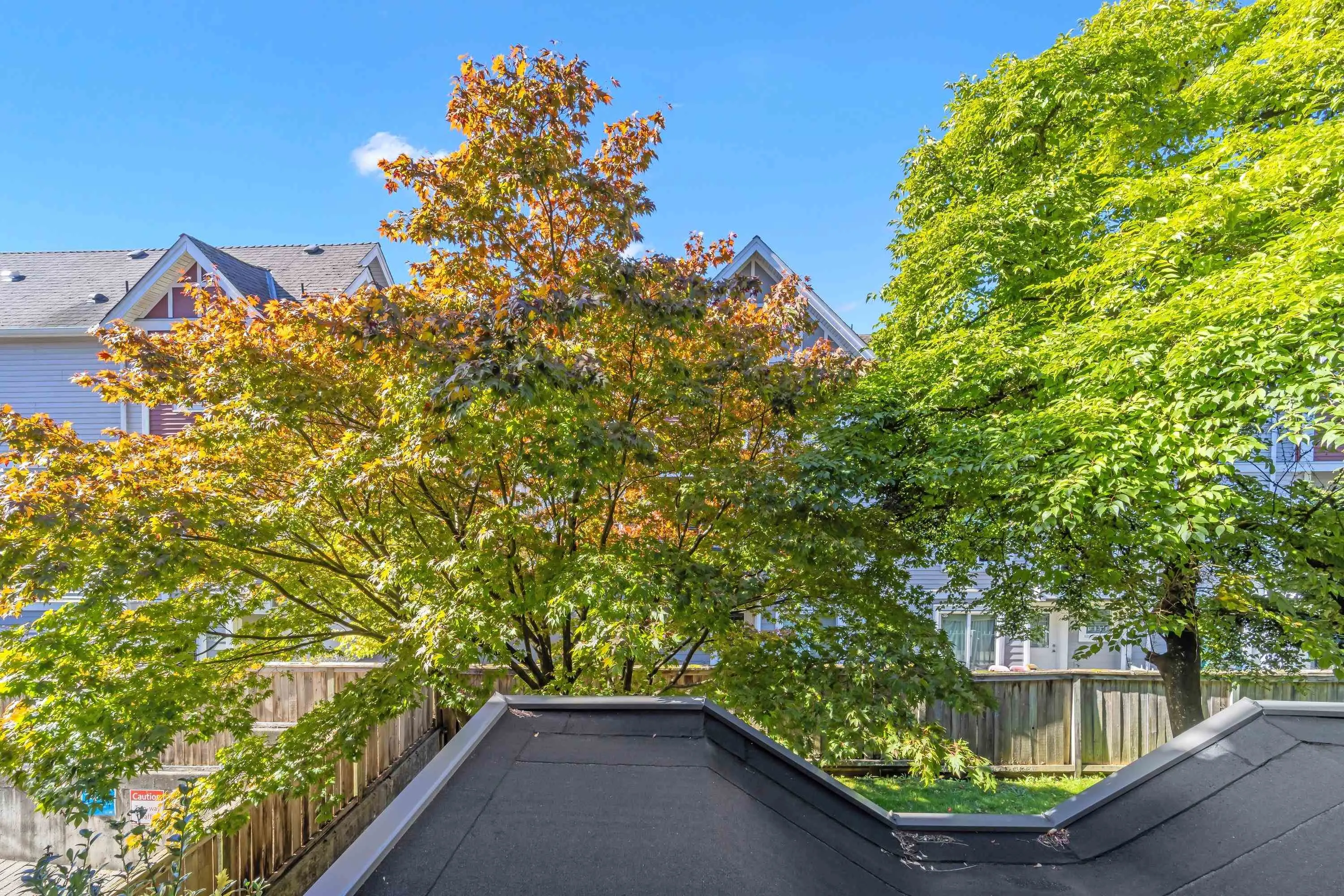 14355 103 Avenue #206