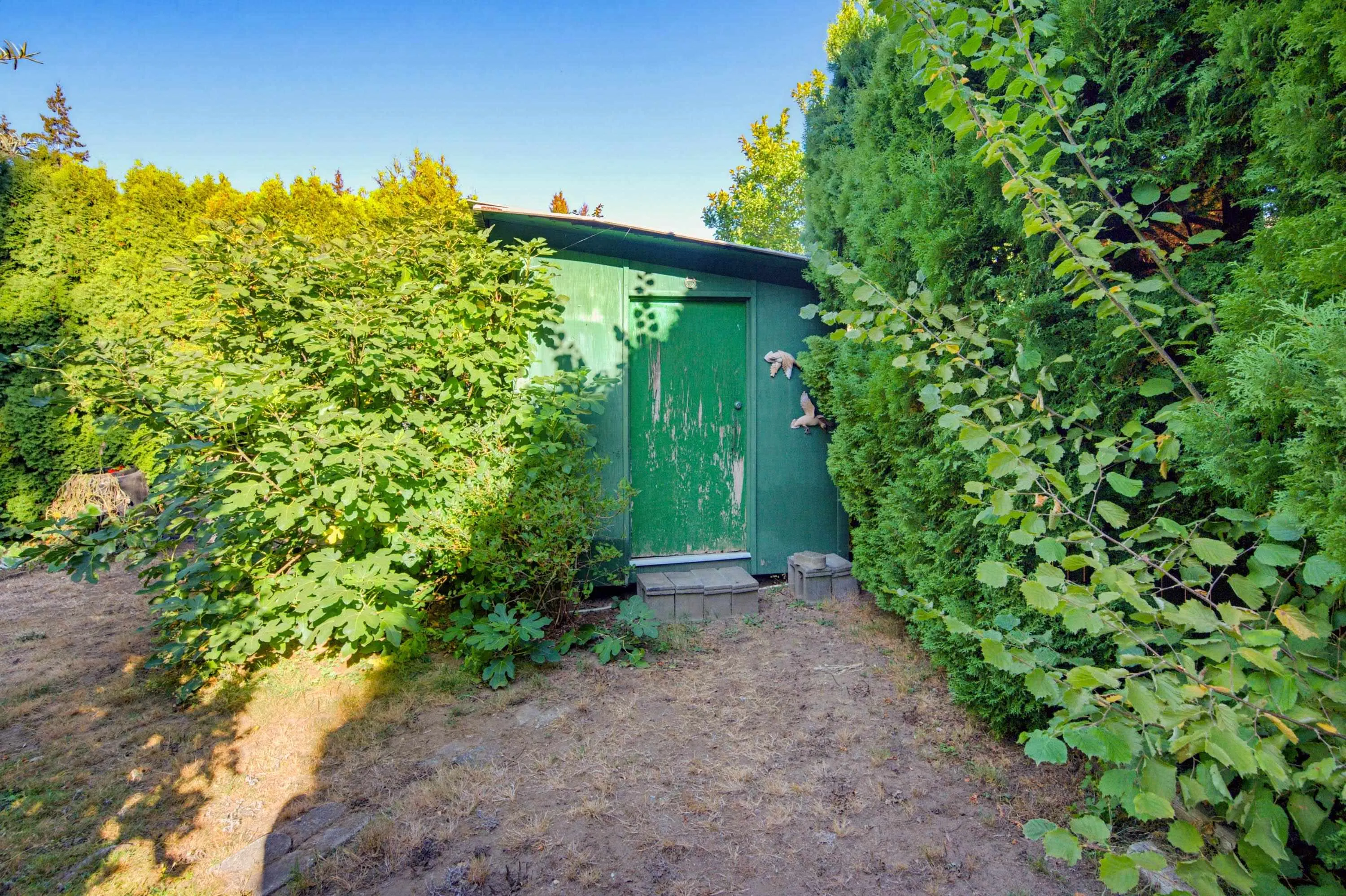 4611 203a Street