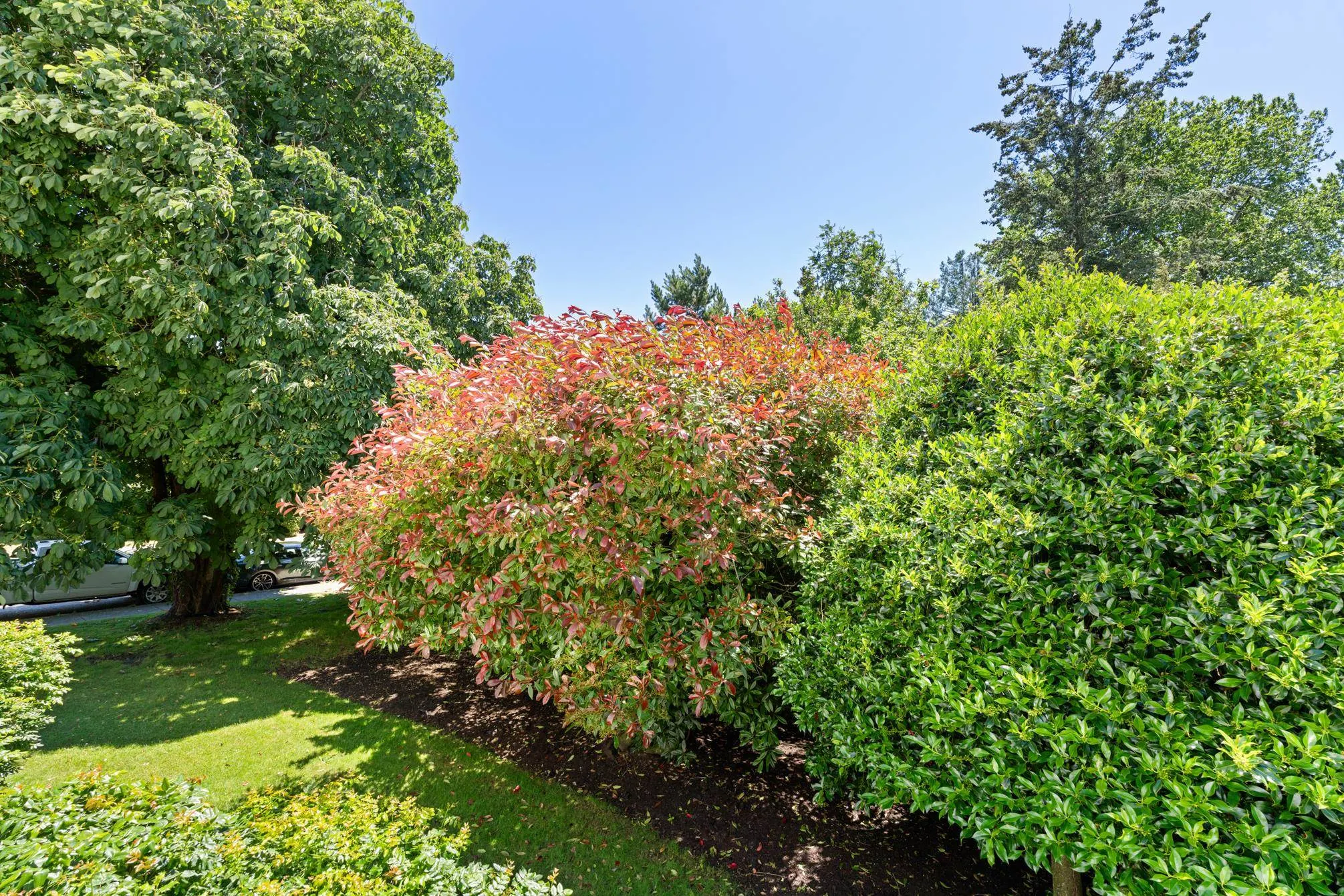 1341 George Street #111