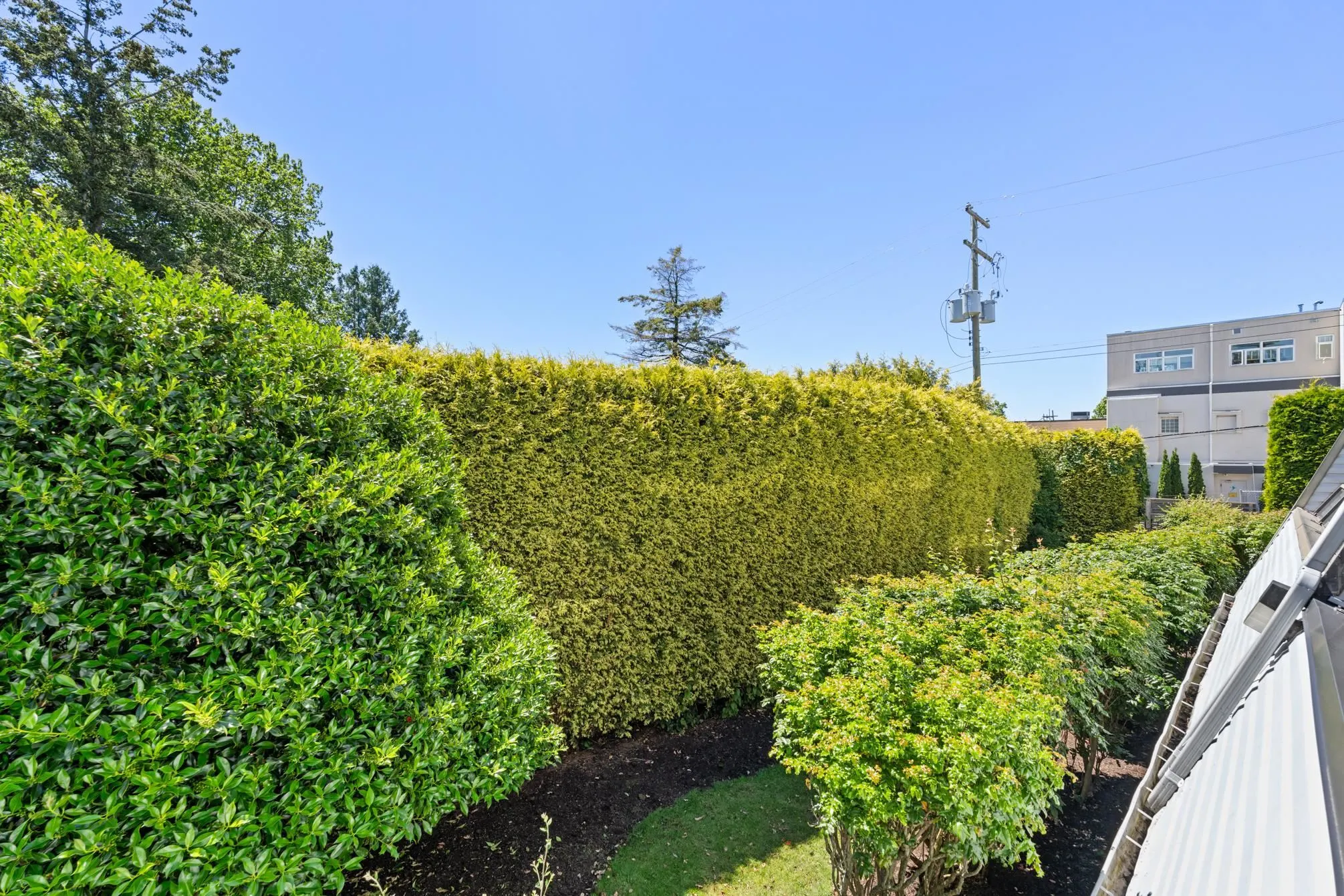 1341 George Street #111