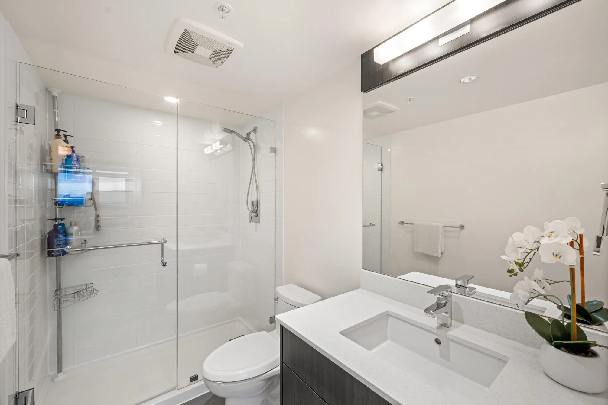 608 Belmont Street #2101
