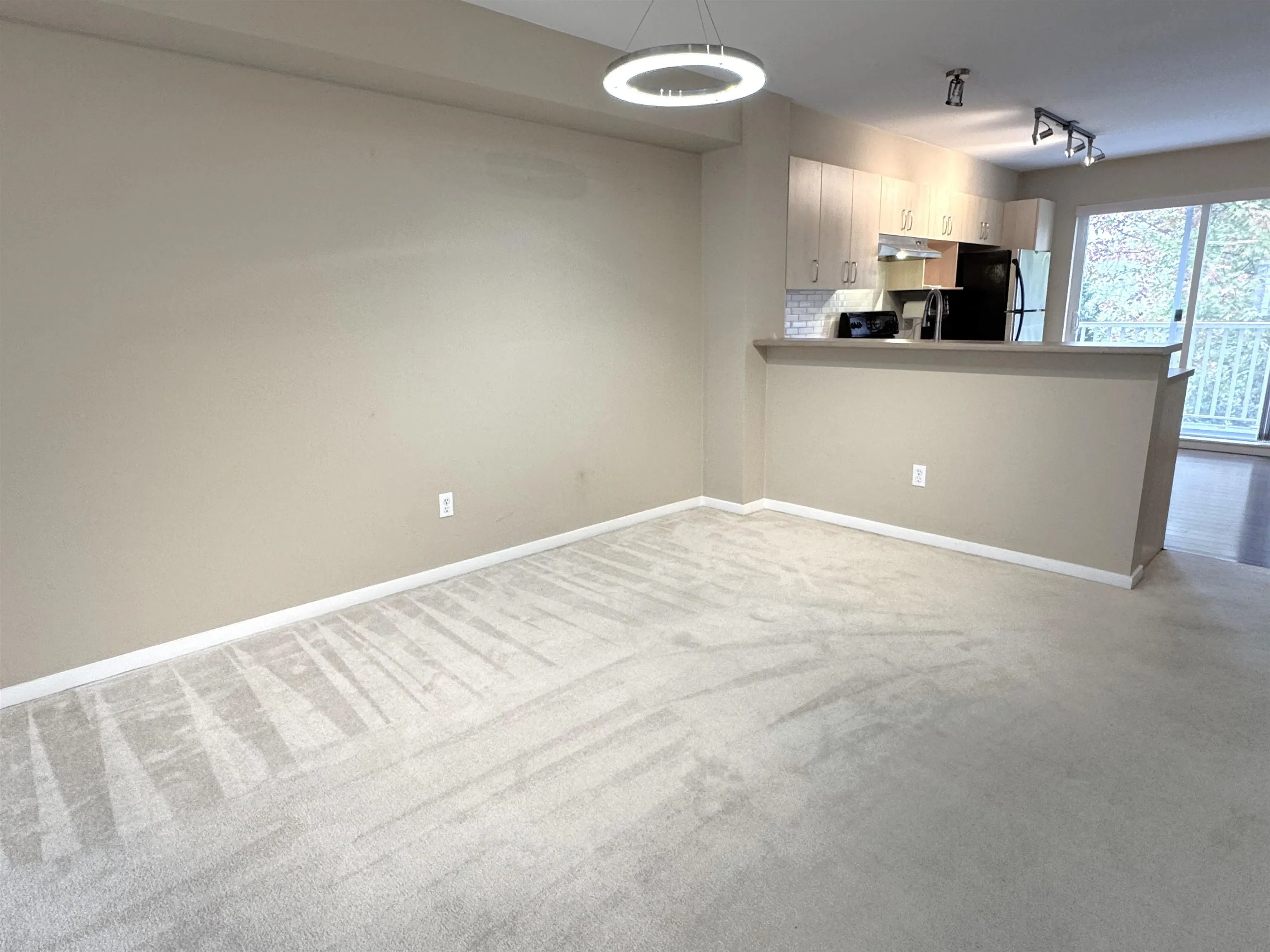 15155 62a Avenue #49