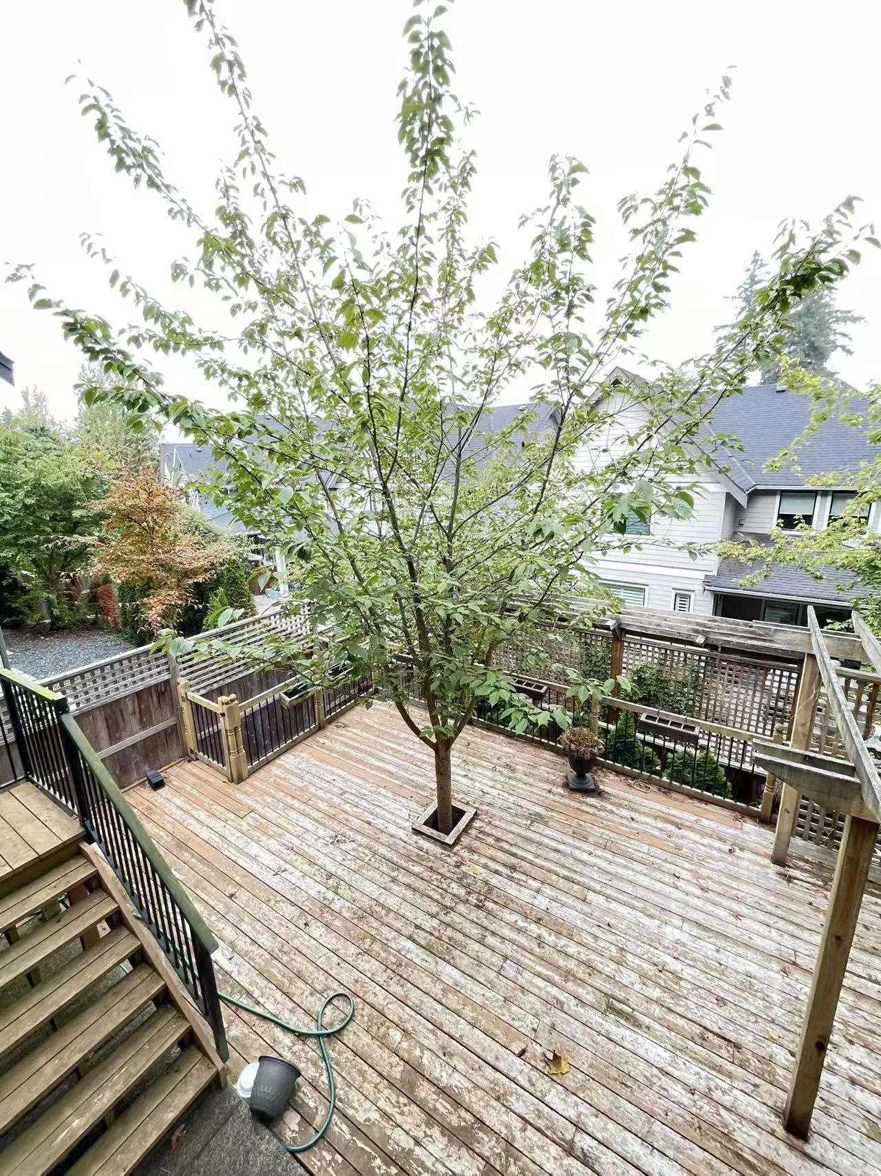 3000 Helc Place