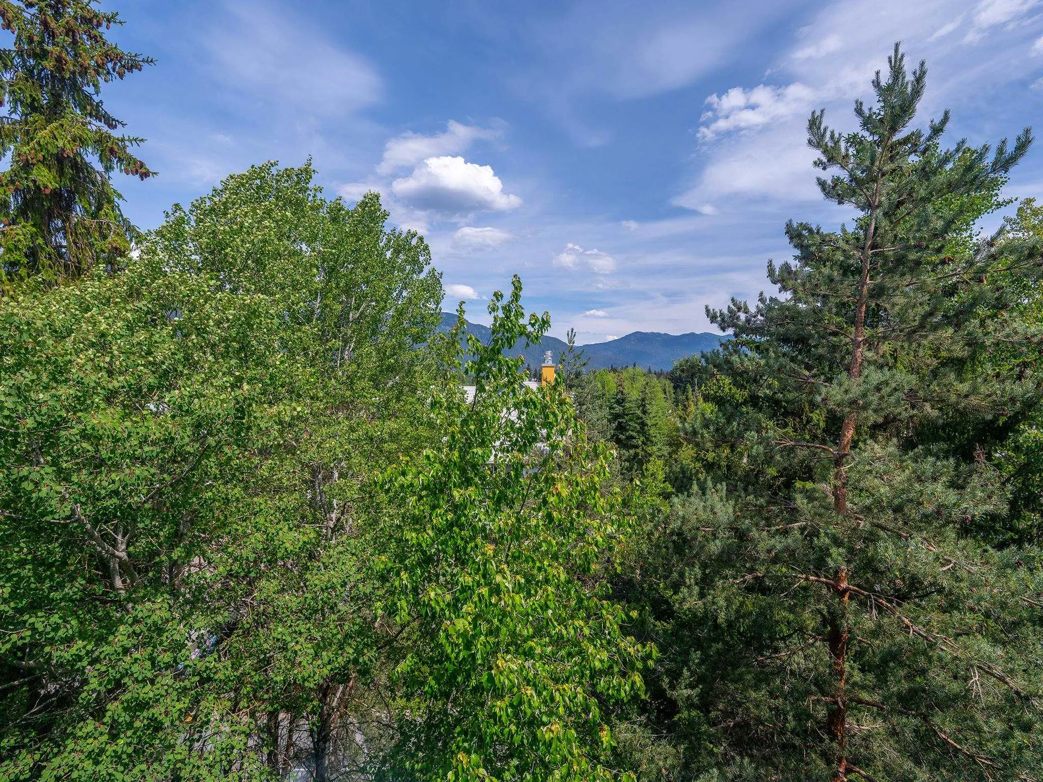 4295 Blackcomb Way #616